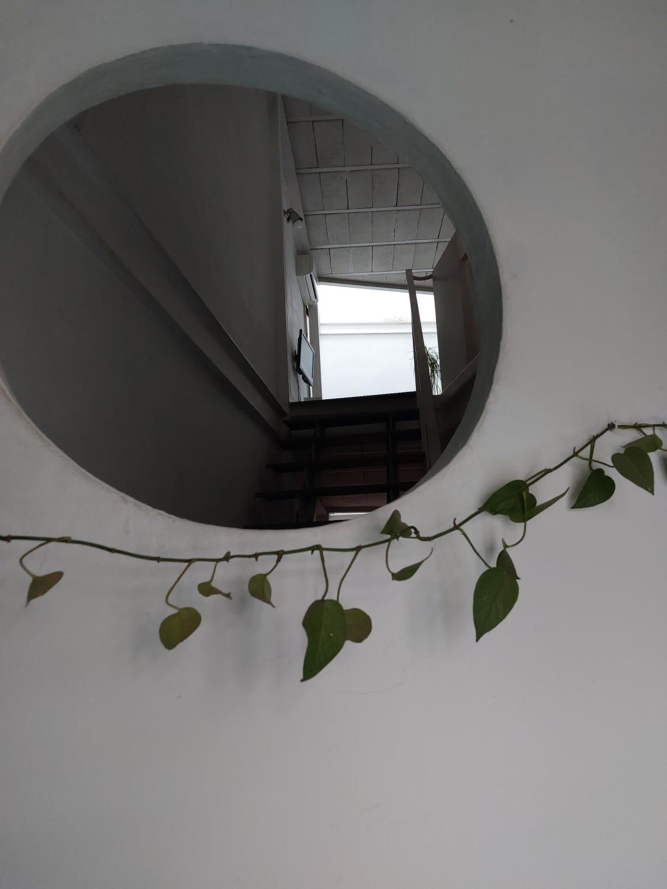 Apartamento tipo loth Alameda