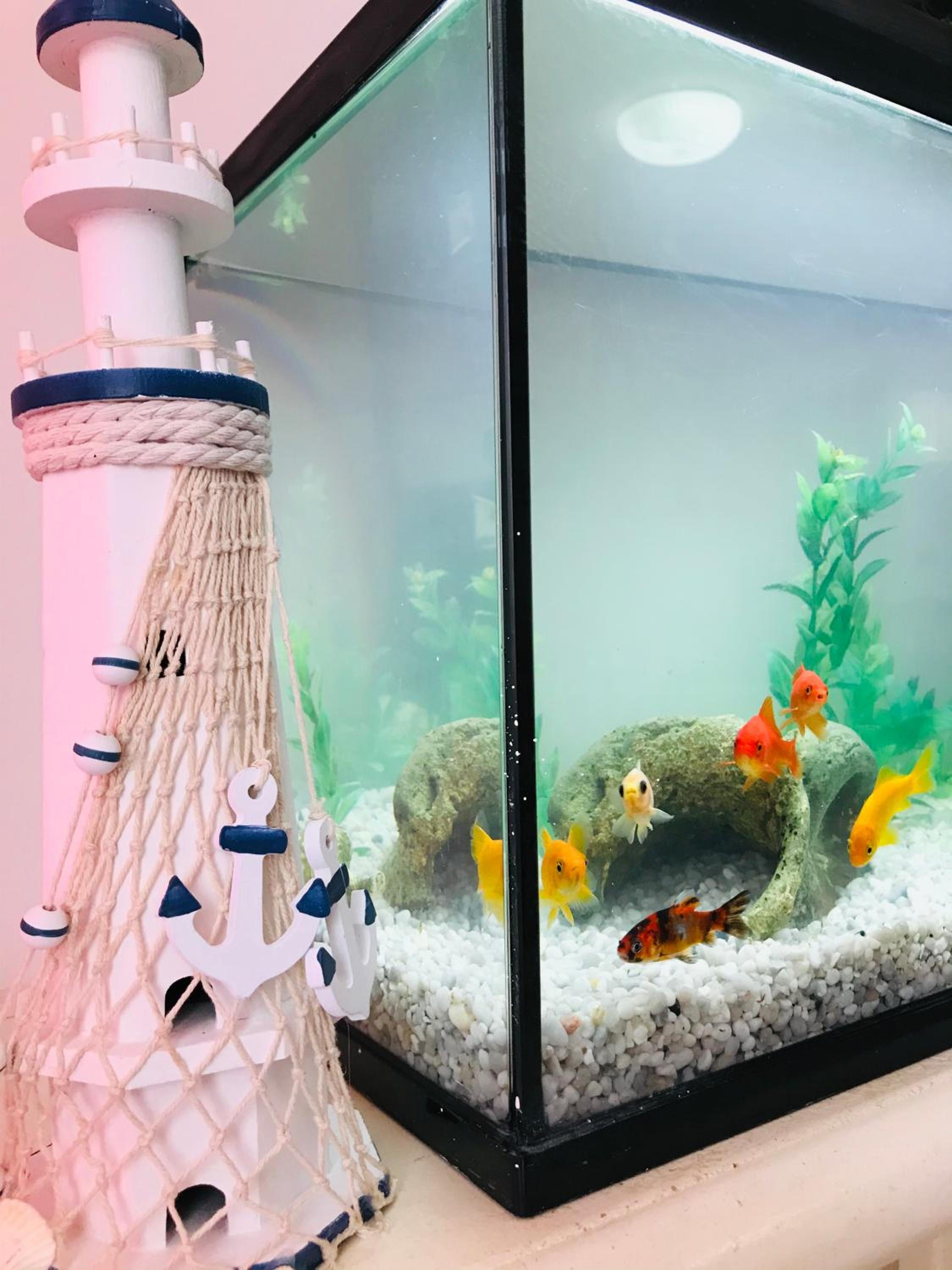 Appartamento a 50 metri dal mare. photo 1