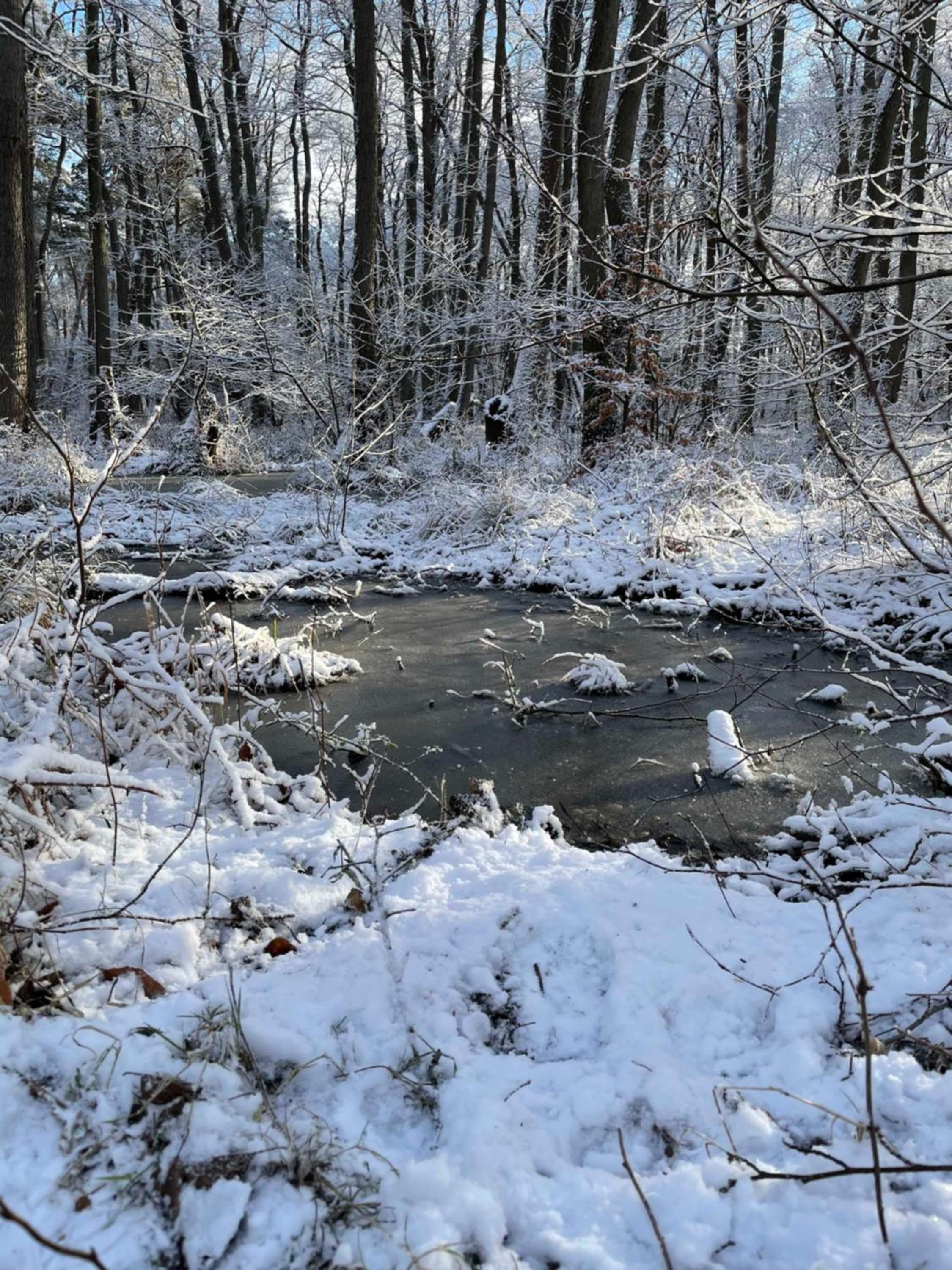 Fewo Eikkater 28 Kuestenwald Graal view 4