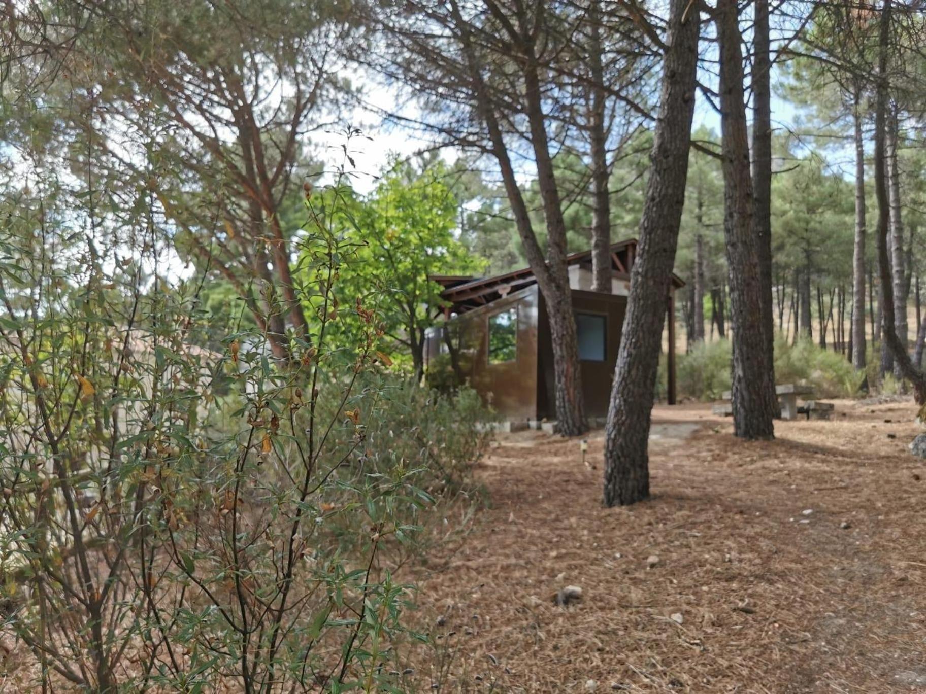 Huerto San Antonio