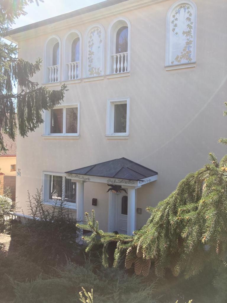 APARTMANY SABINOVSKA view 2