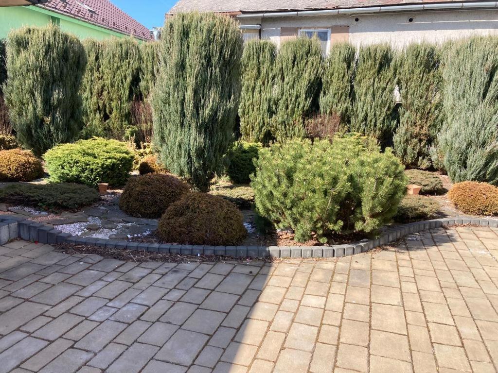 Photo 35