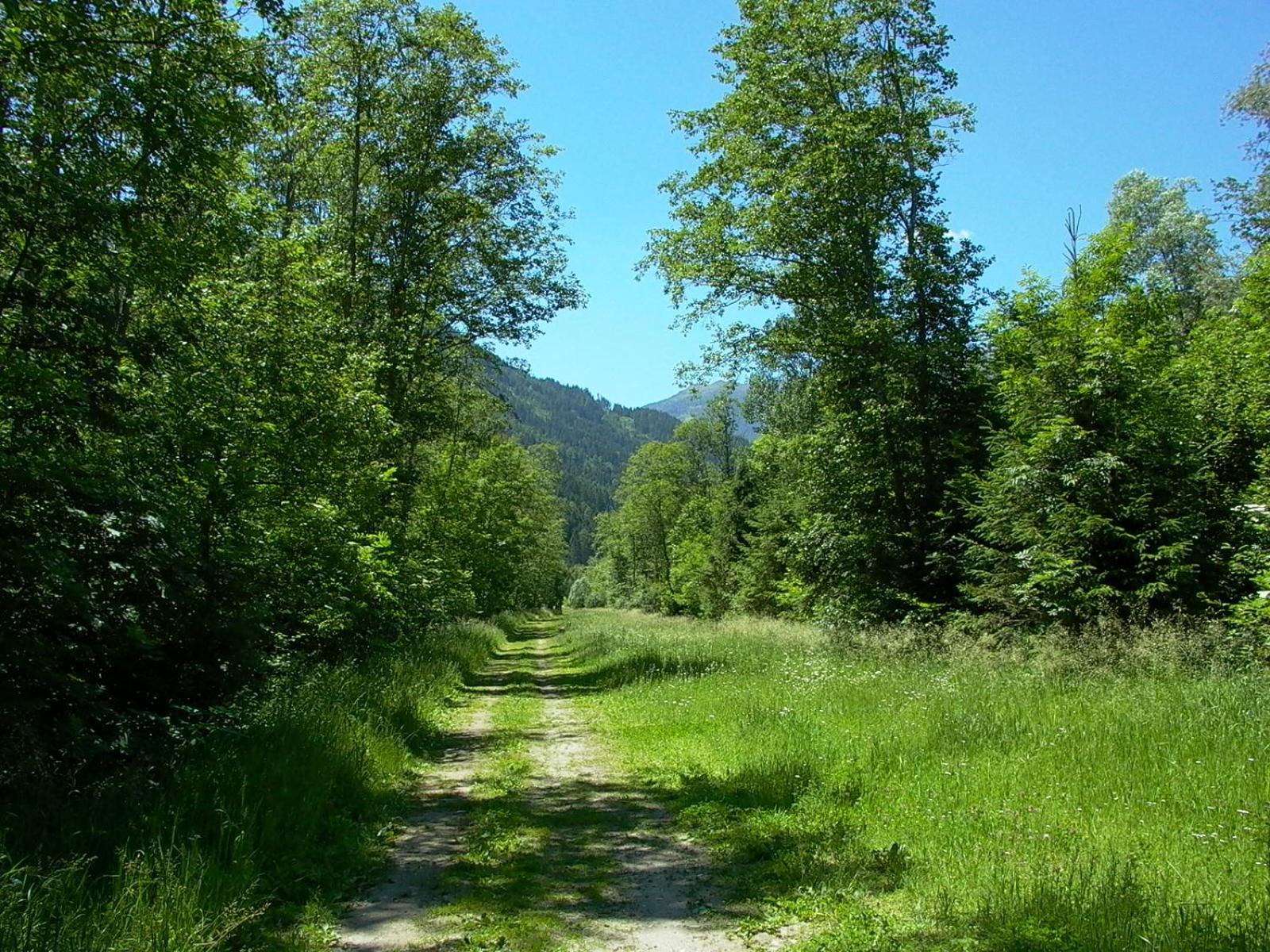 Ferienhaus Dummer