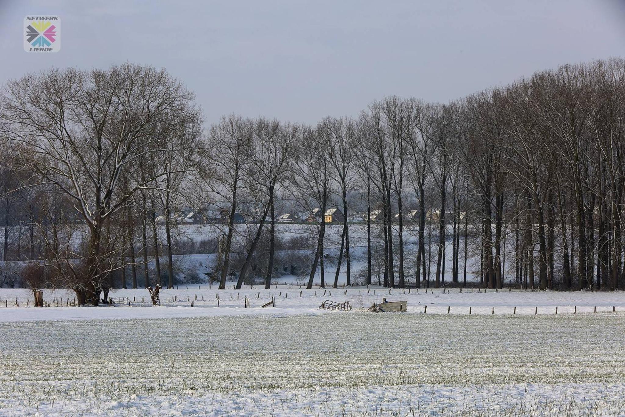 B&B Goudsbloempje