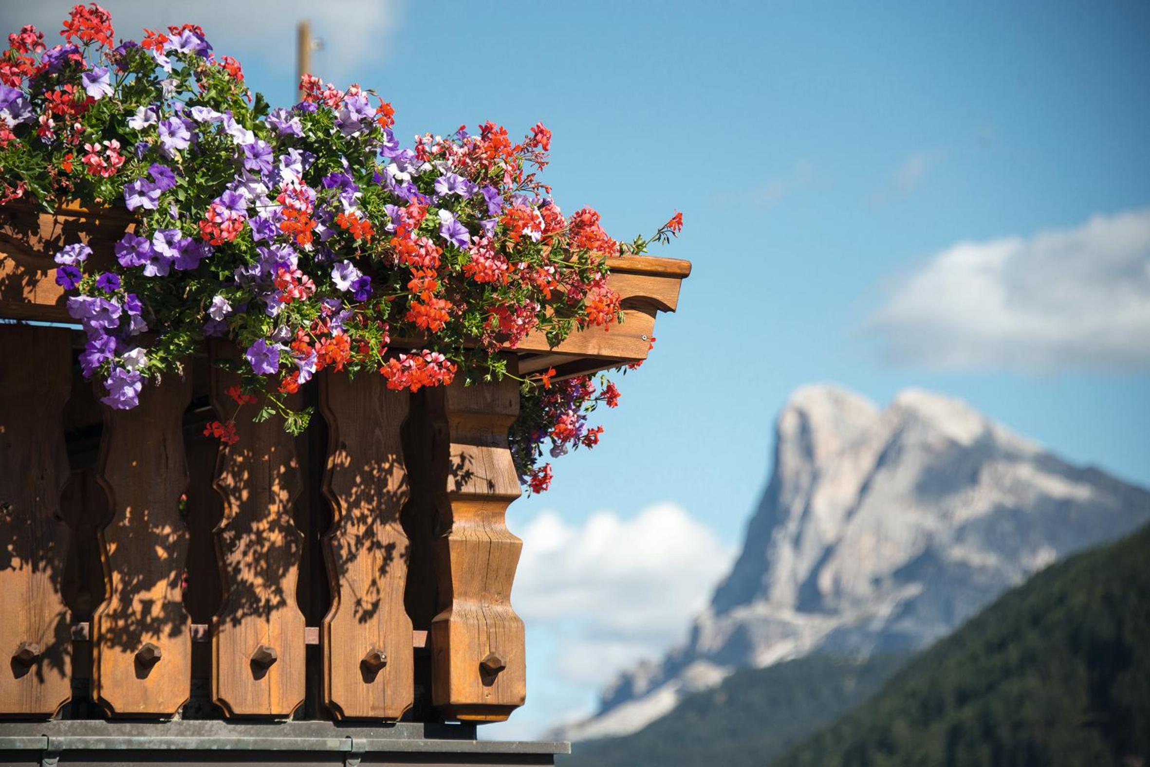 MOUNTAIN RESIDENCE ALPENHOF - company Hotel Alpenhof KG sas der Gasser Renate