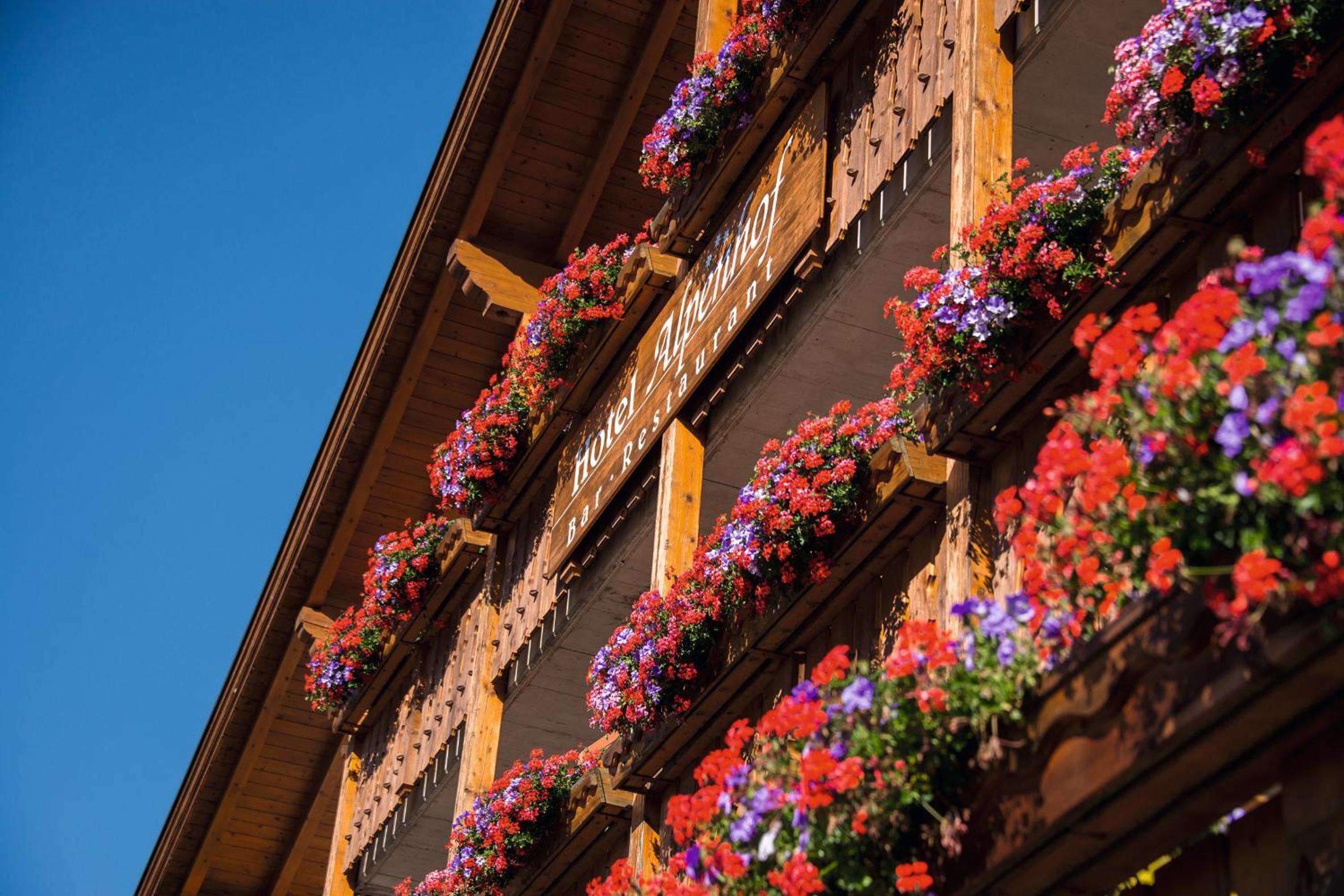 MOUNTAIN RESIDENCE ALPENHOF - company Hotel Alpenhof KG sas der Gasser Renate