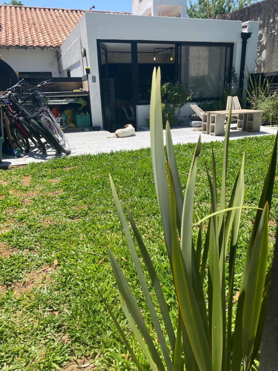 Excelente Loft con terraza verde y ducha