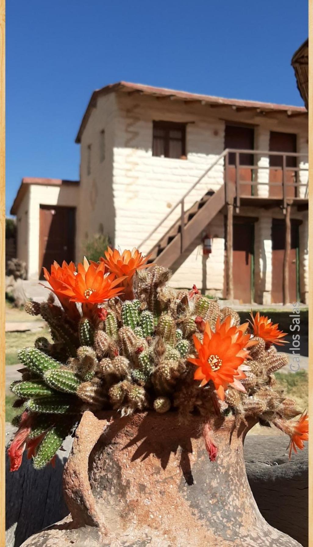 El Sol Hostel de Humahuaca