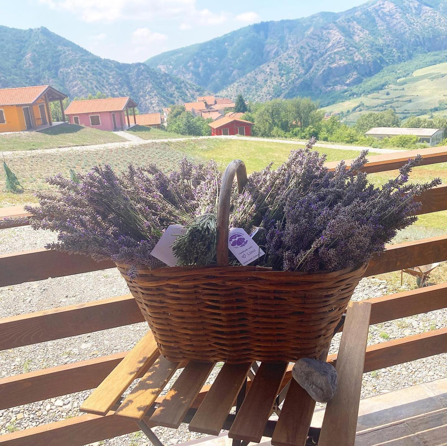 Azienda Agricola Saint Hubert