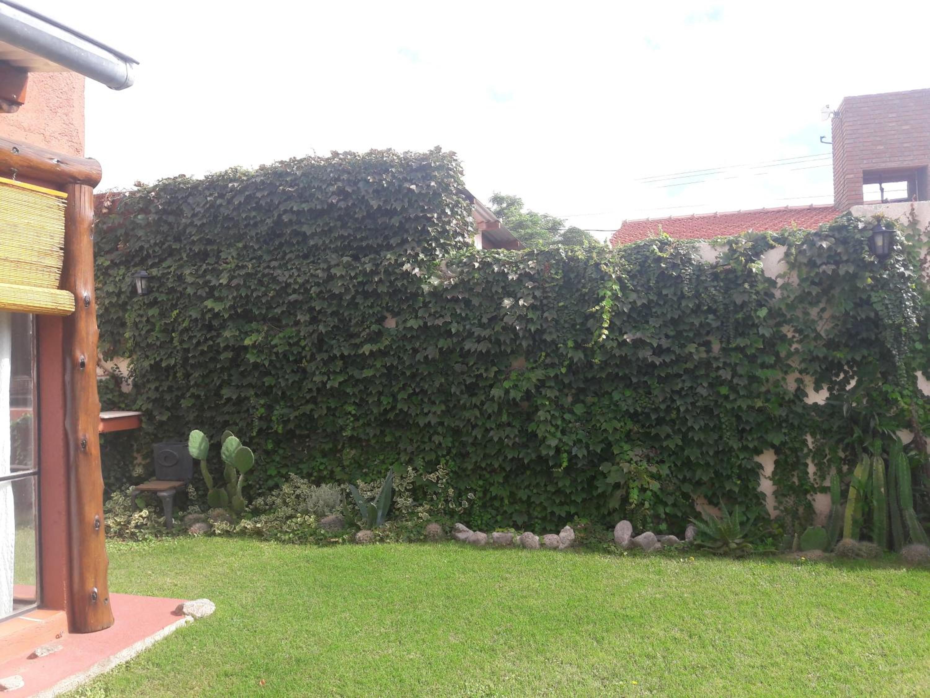 Flor de las Sierras