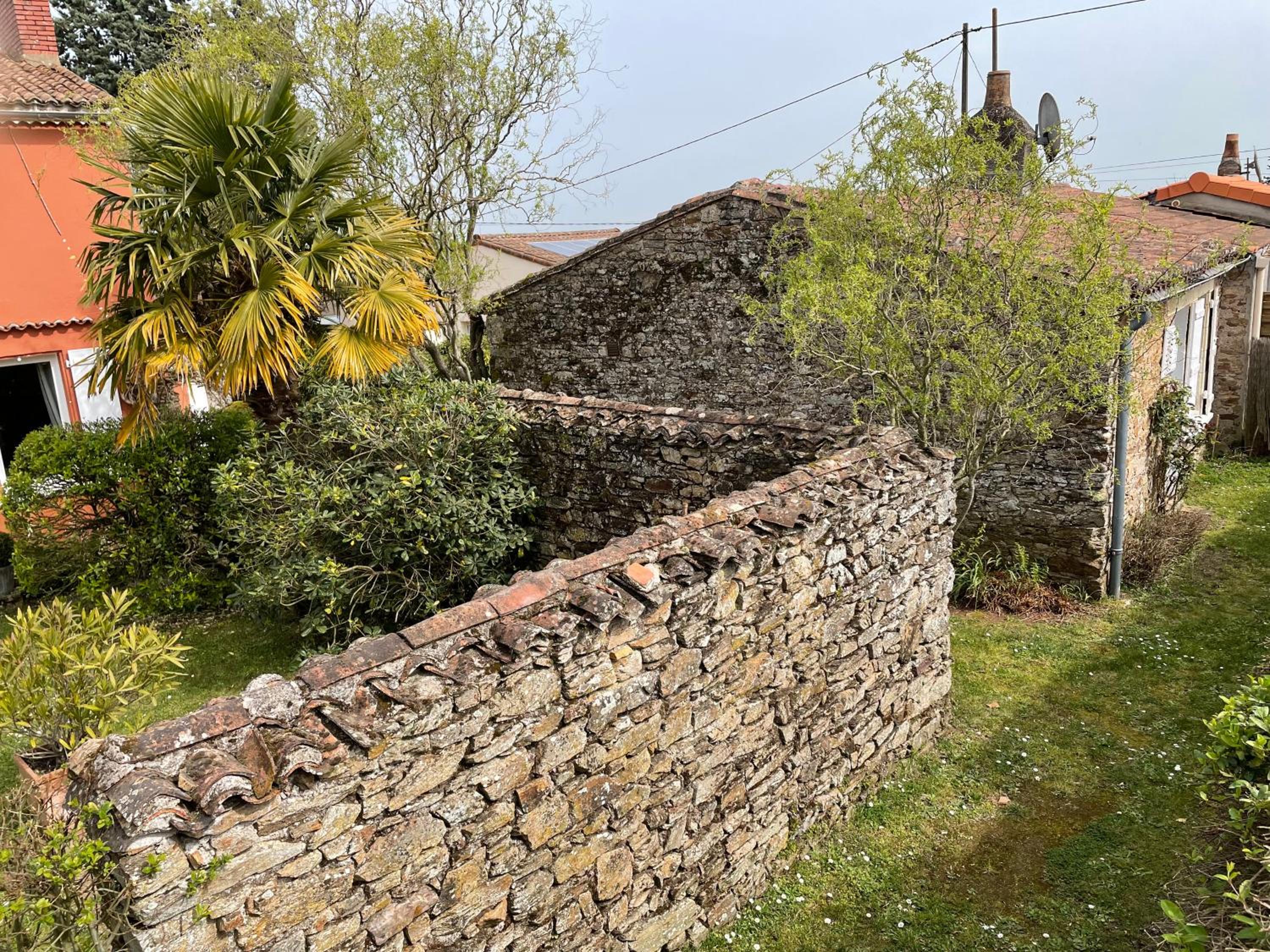 Photo 15