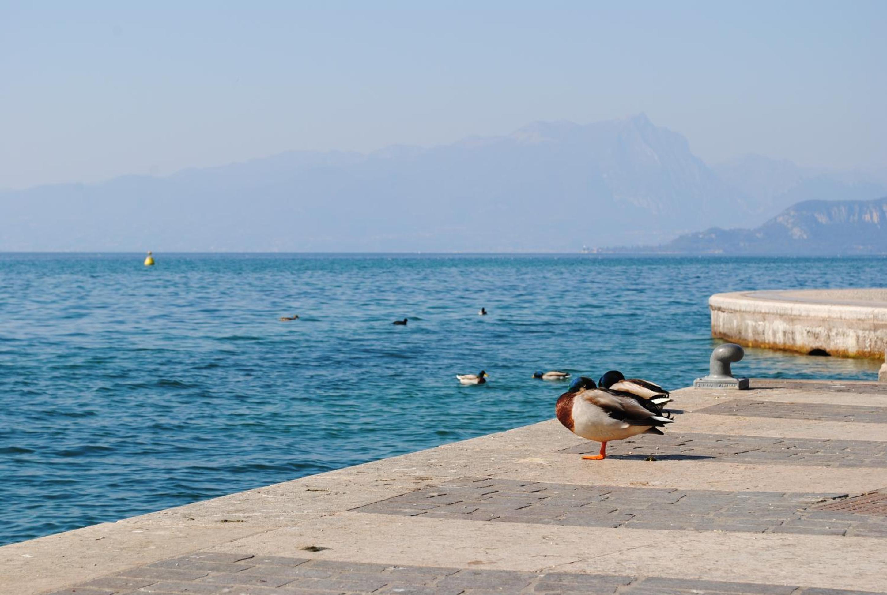Dreaming Lazise