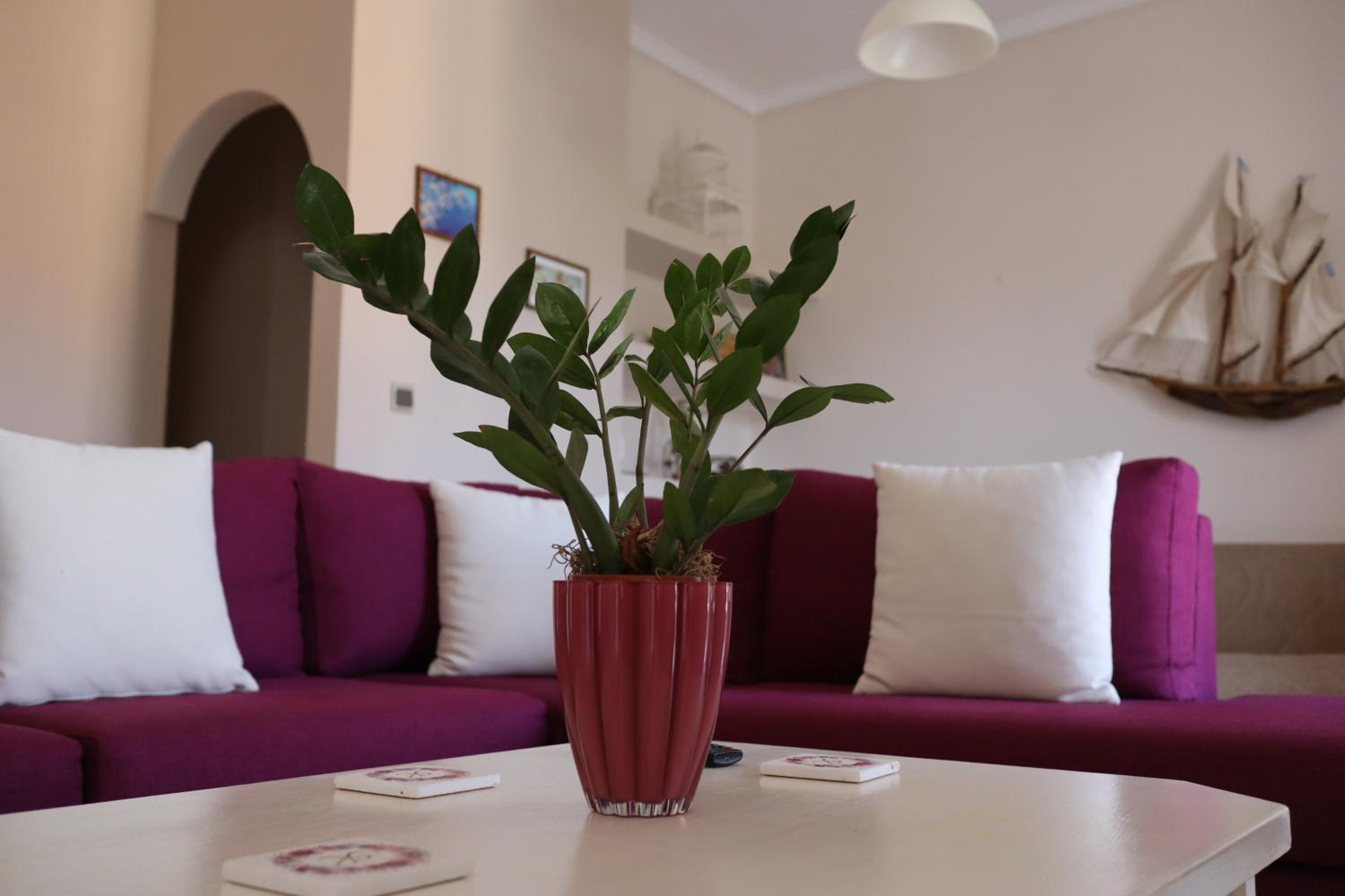 Helena Apartment Argostoli view 3