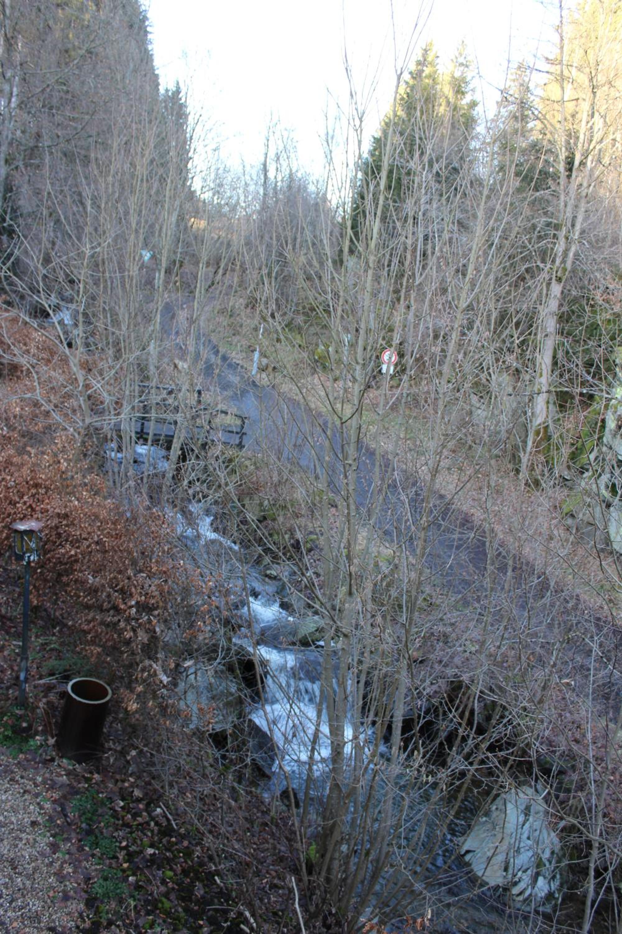 Photo 32
