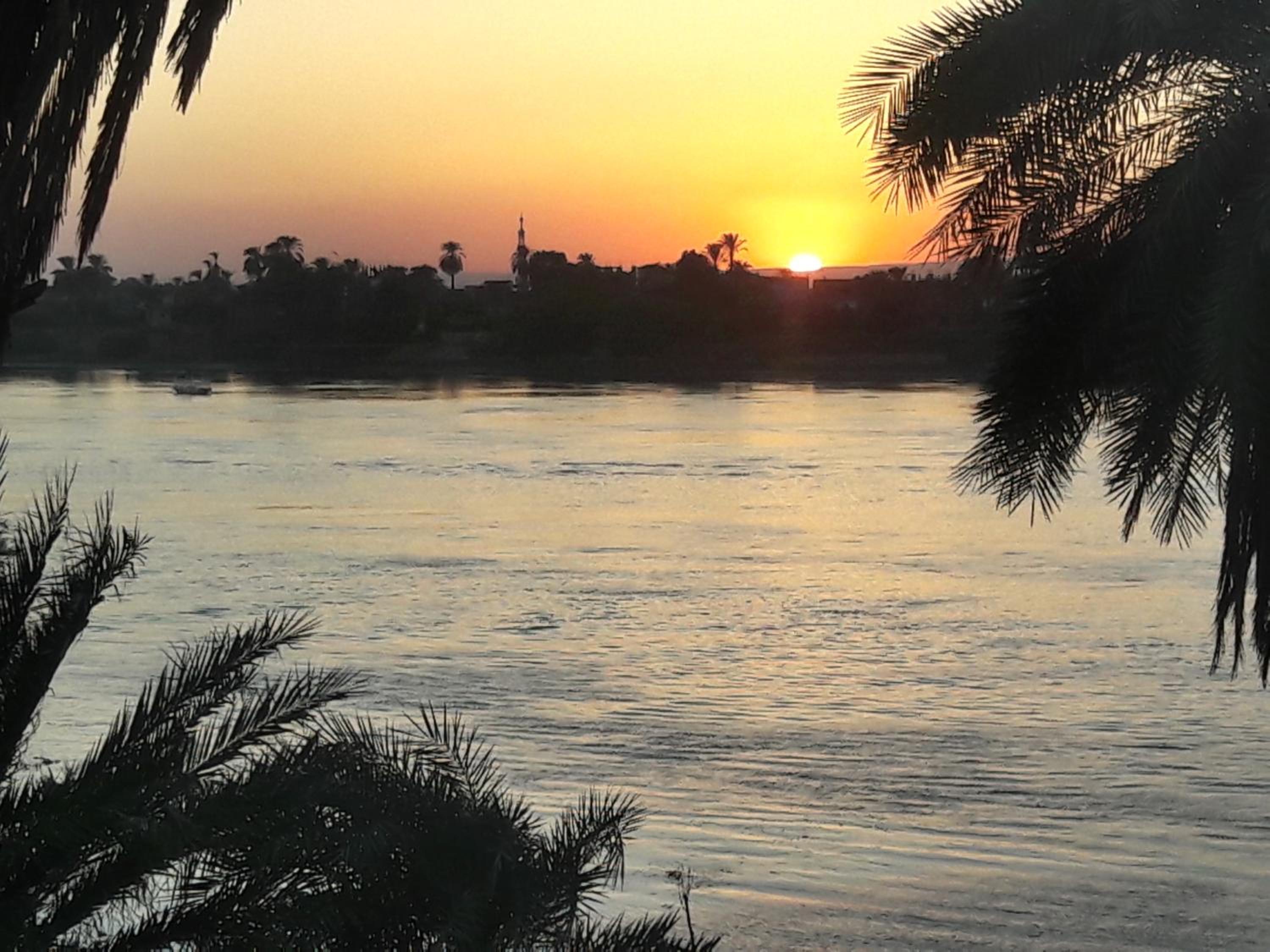 Villa Rose-Luxor photo 2