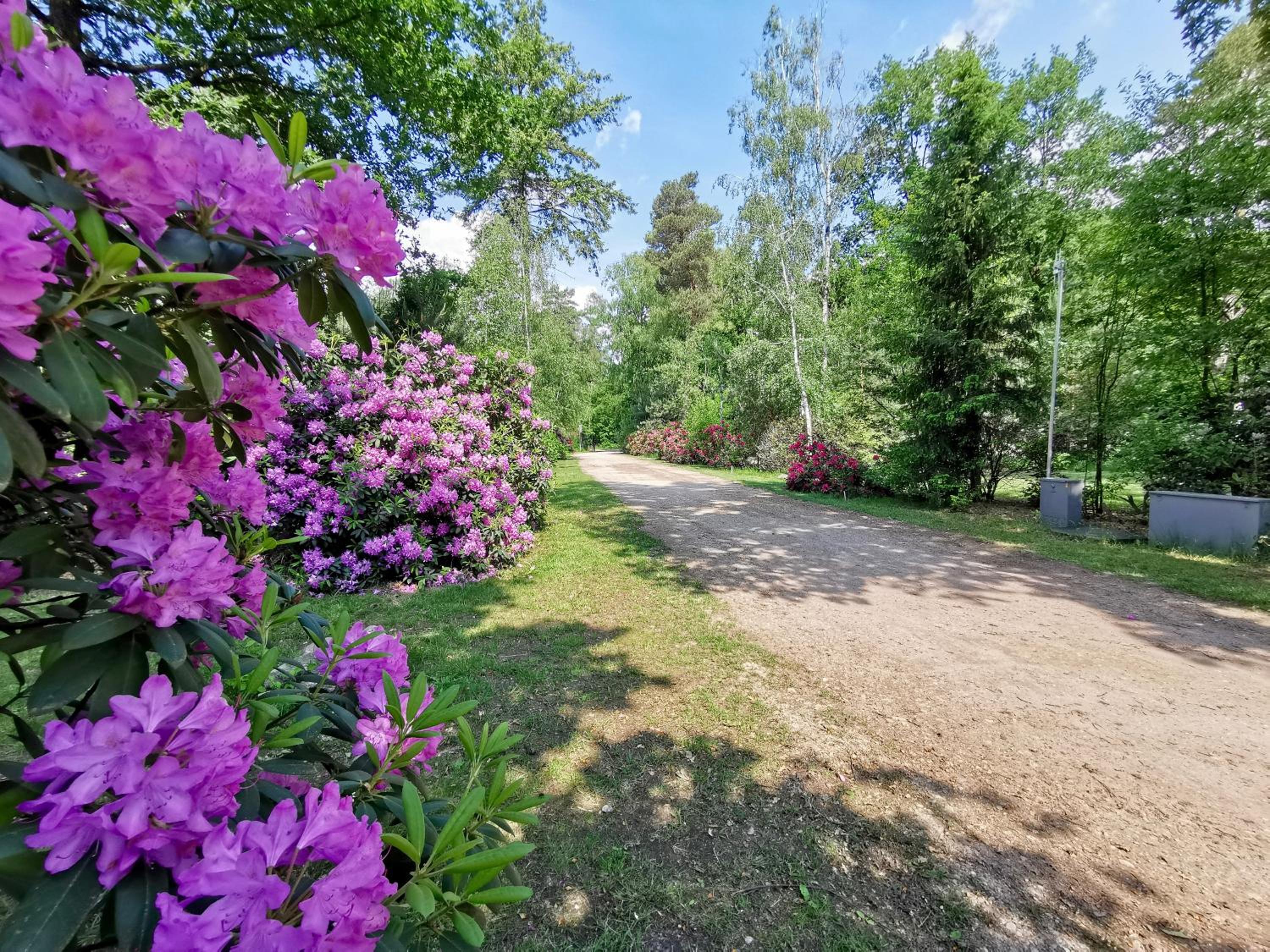 Scandinavian Lodges (by Outdoors Holten) view 5