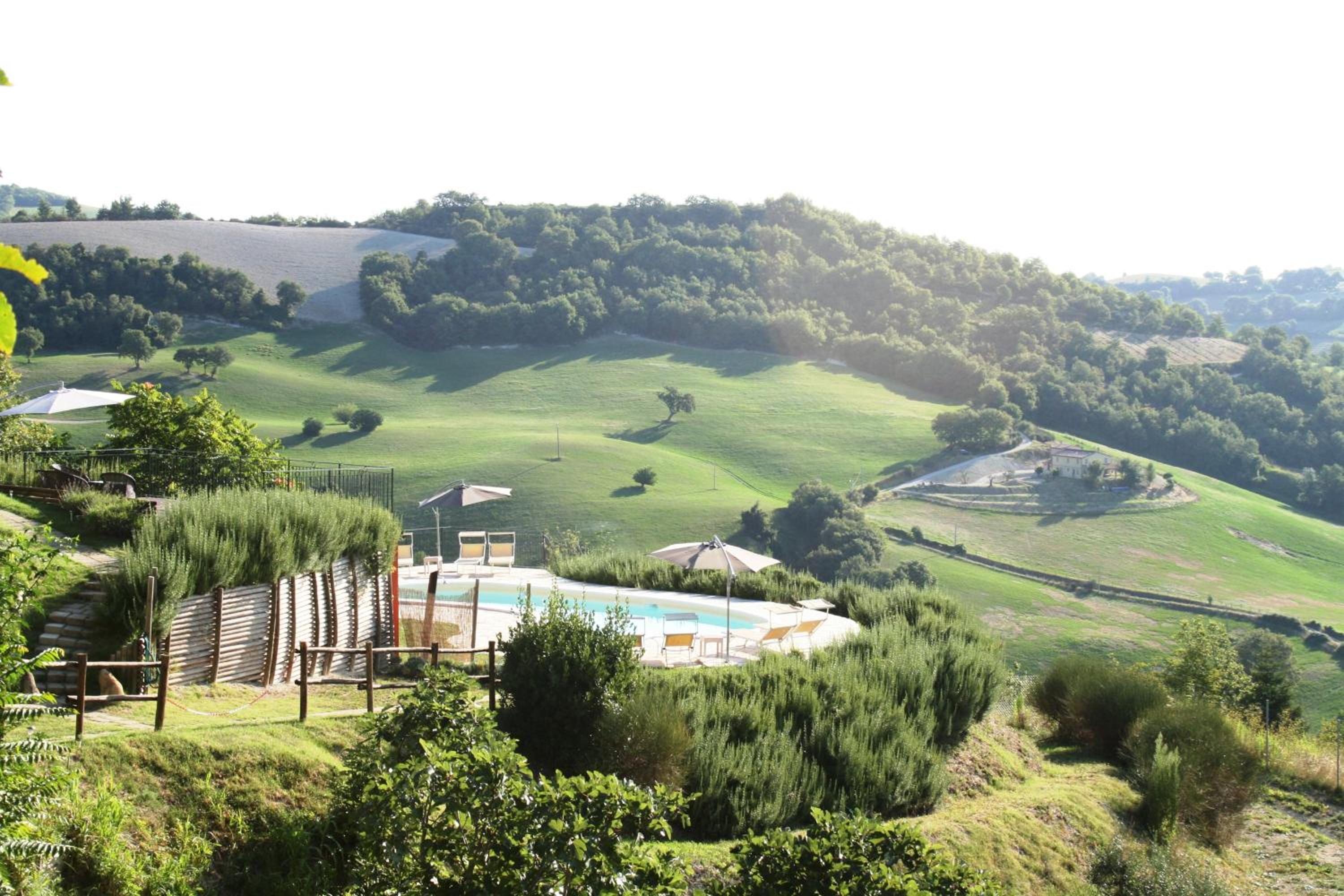 Cornio Delle Fronde