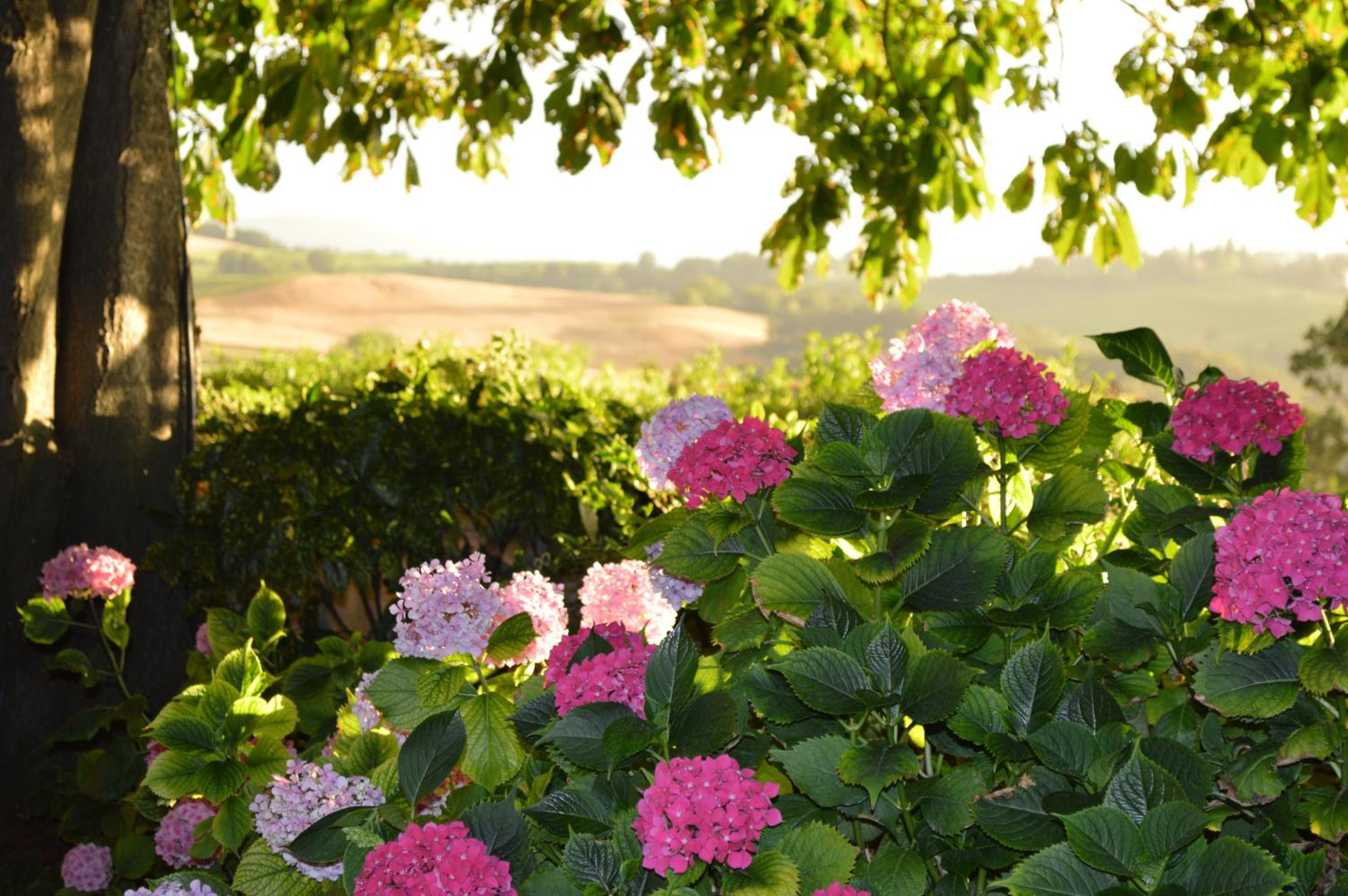 Agriturismo Cavazzone