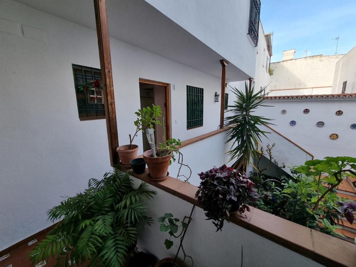 APARTAMENTO ENTRE PATIOS SAN BASILIO photo 2