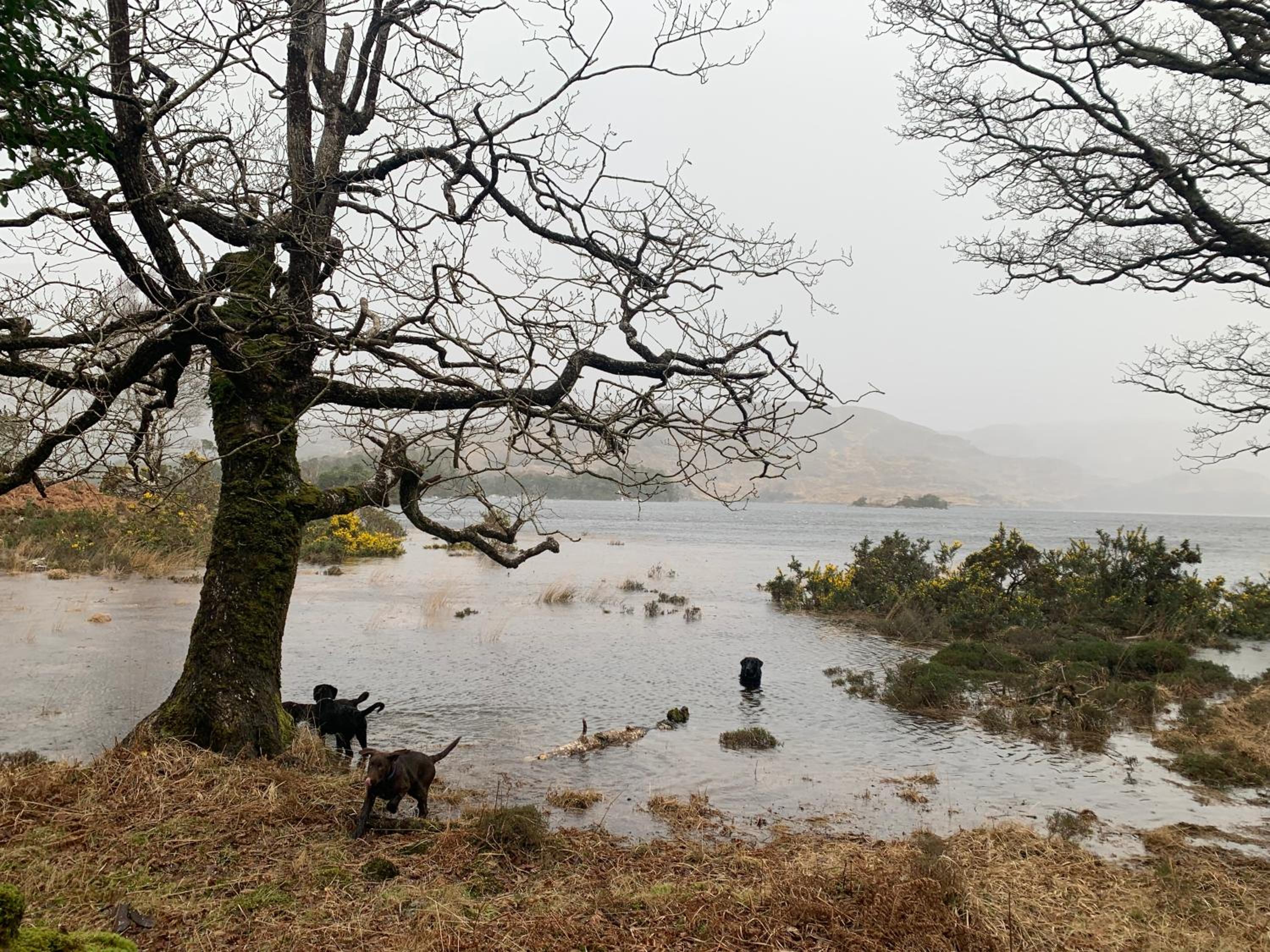 Cillcearn House view 5