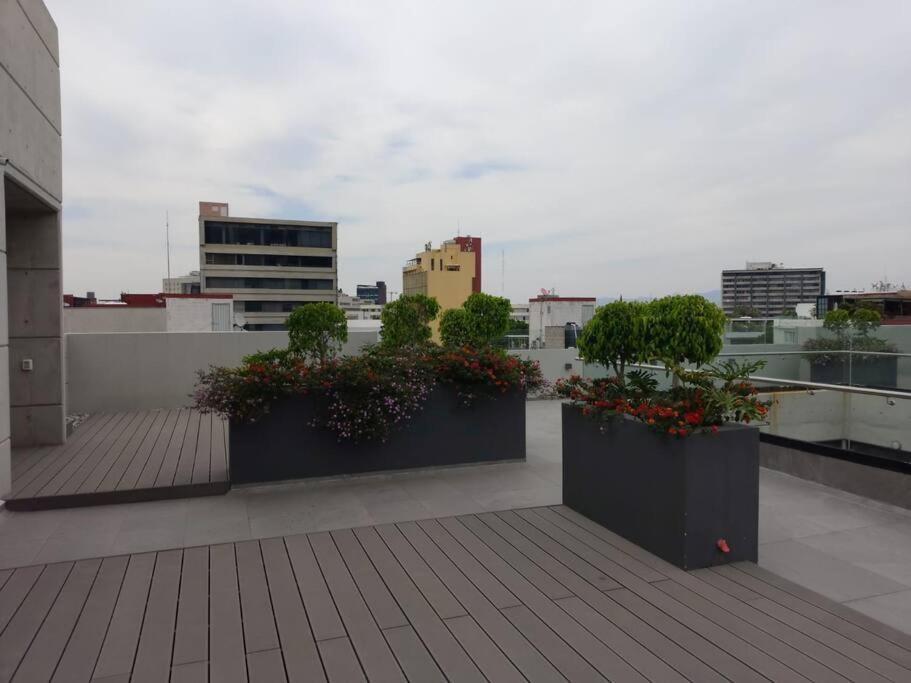 roof