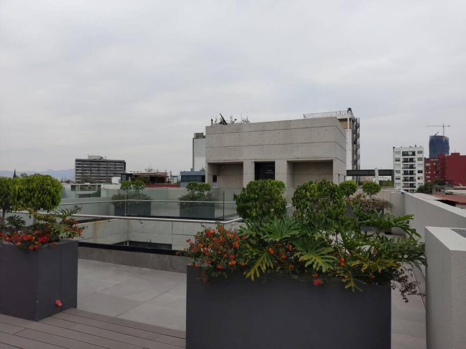 roof