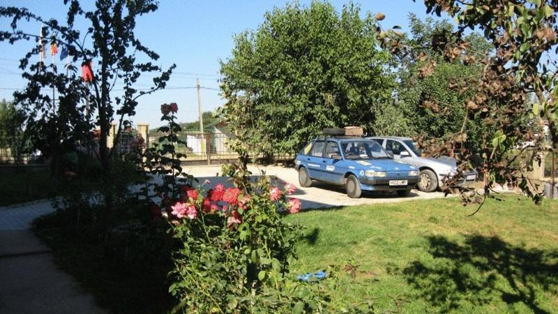 Photo 28