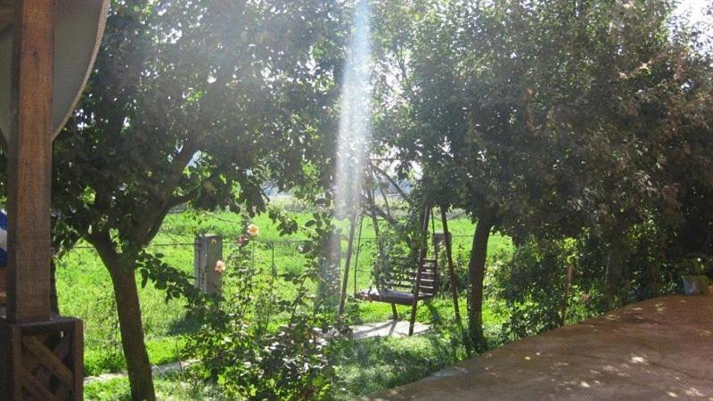 Photo 26