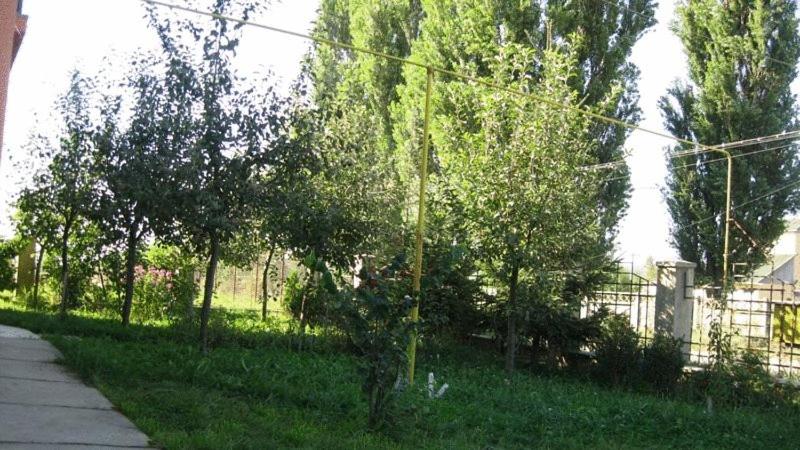 Photo 24