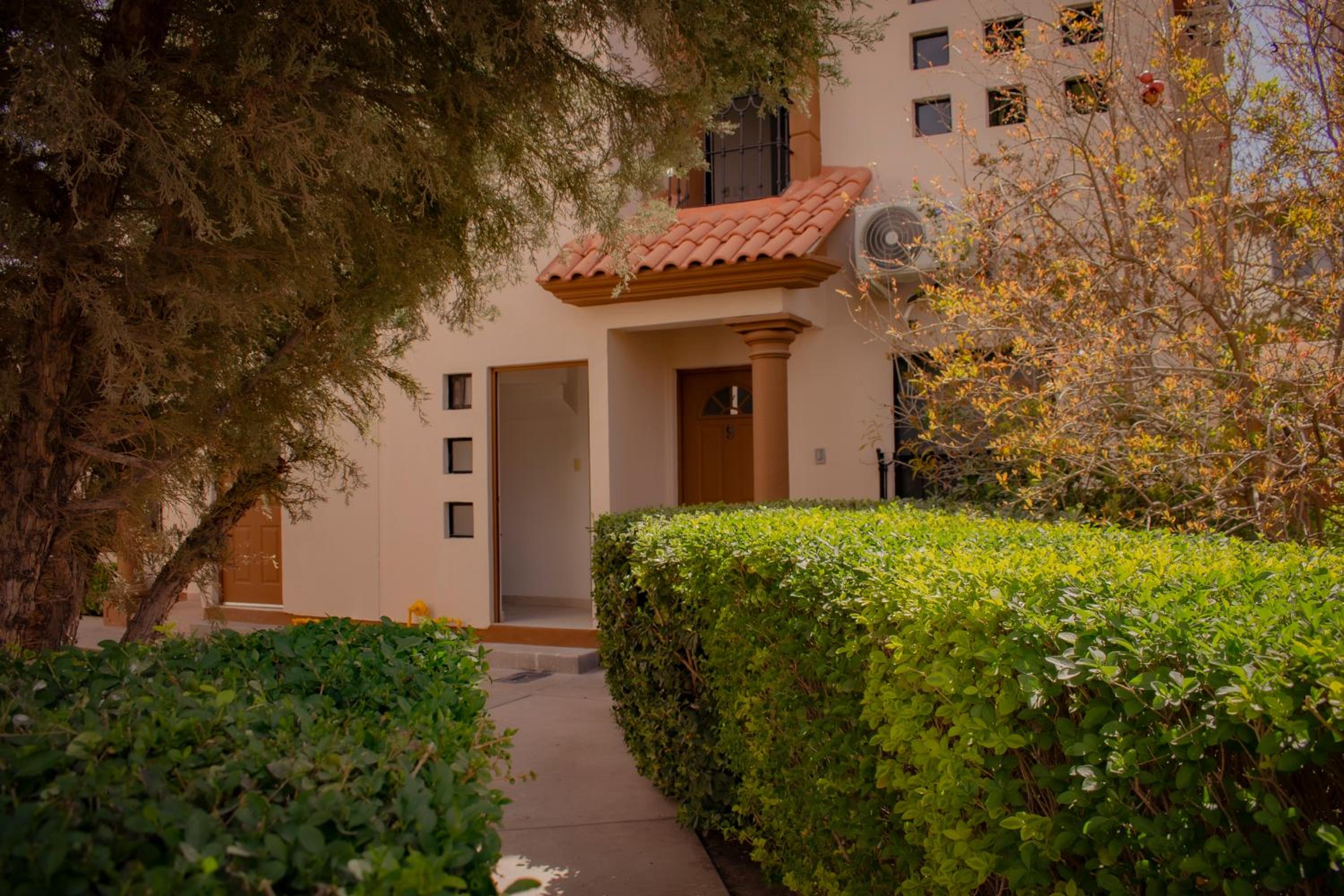 Suites Cervantes