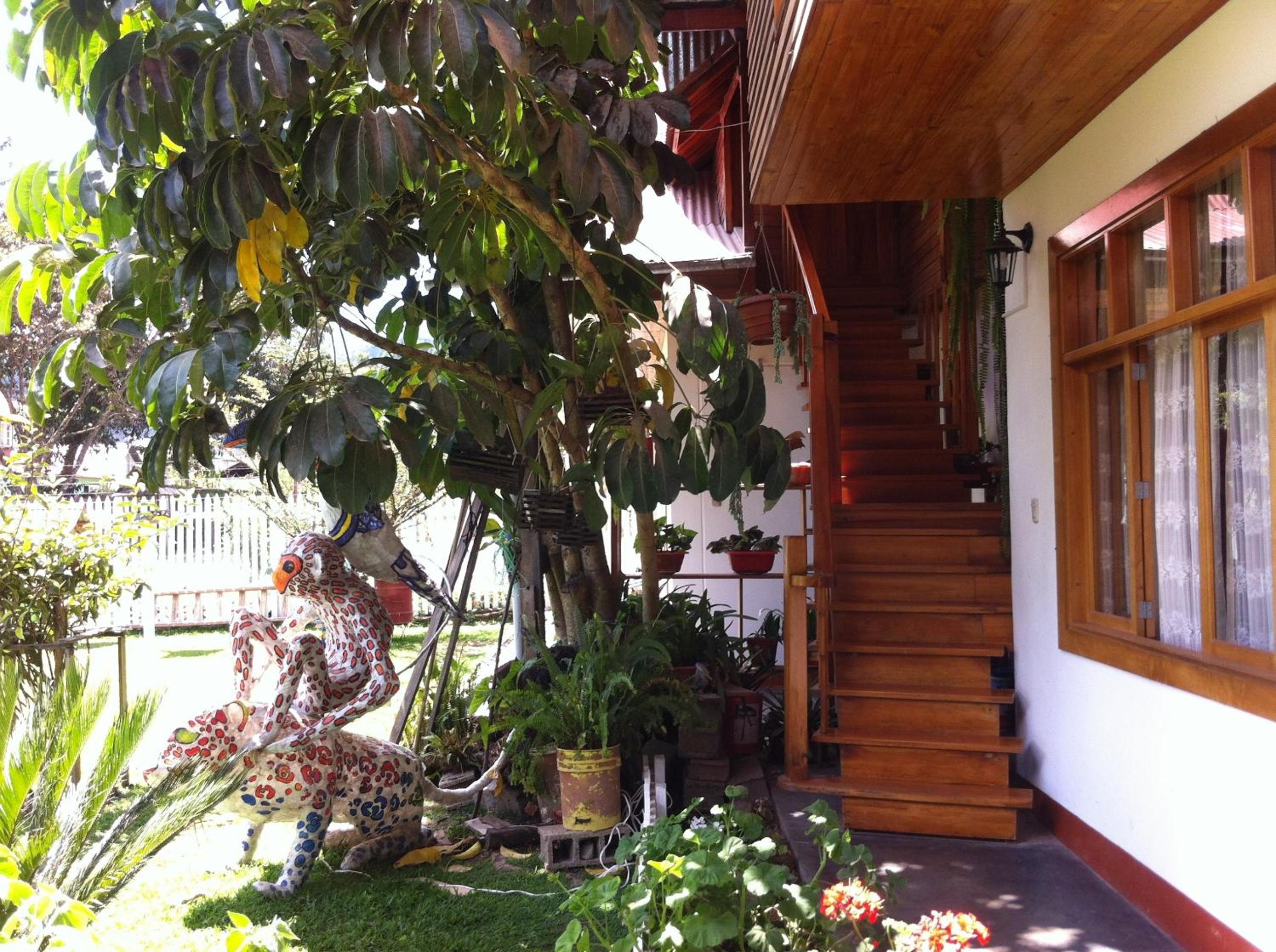 Photo 7