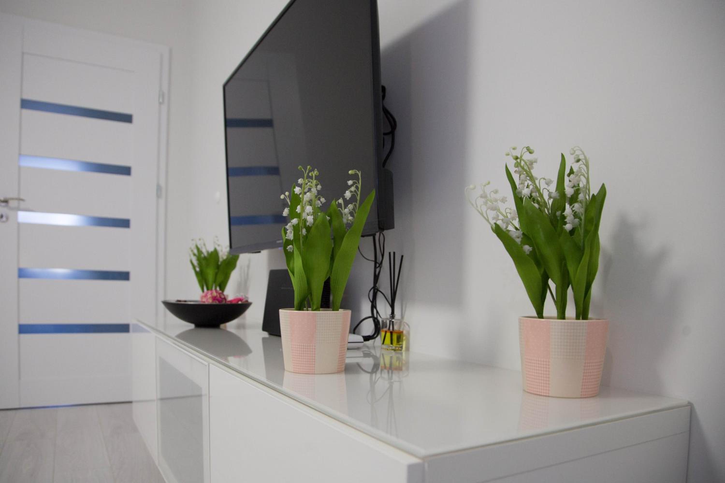 Apartament Wrocław Borowska view 2