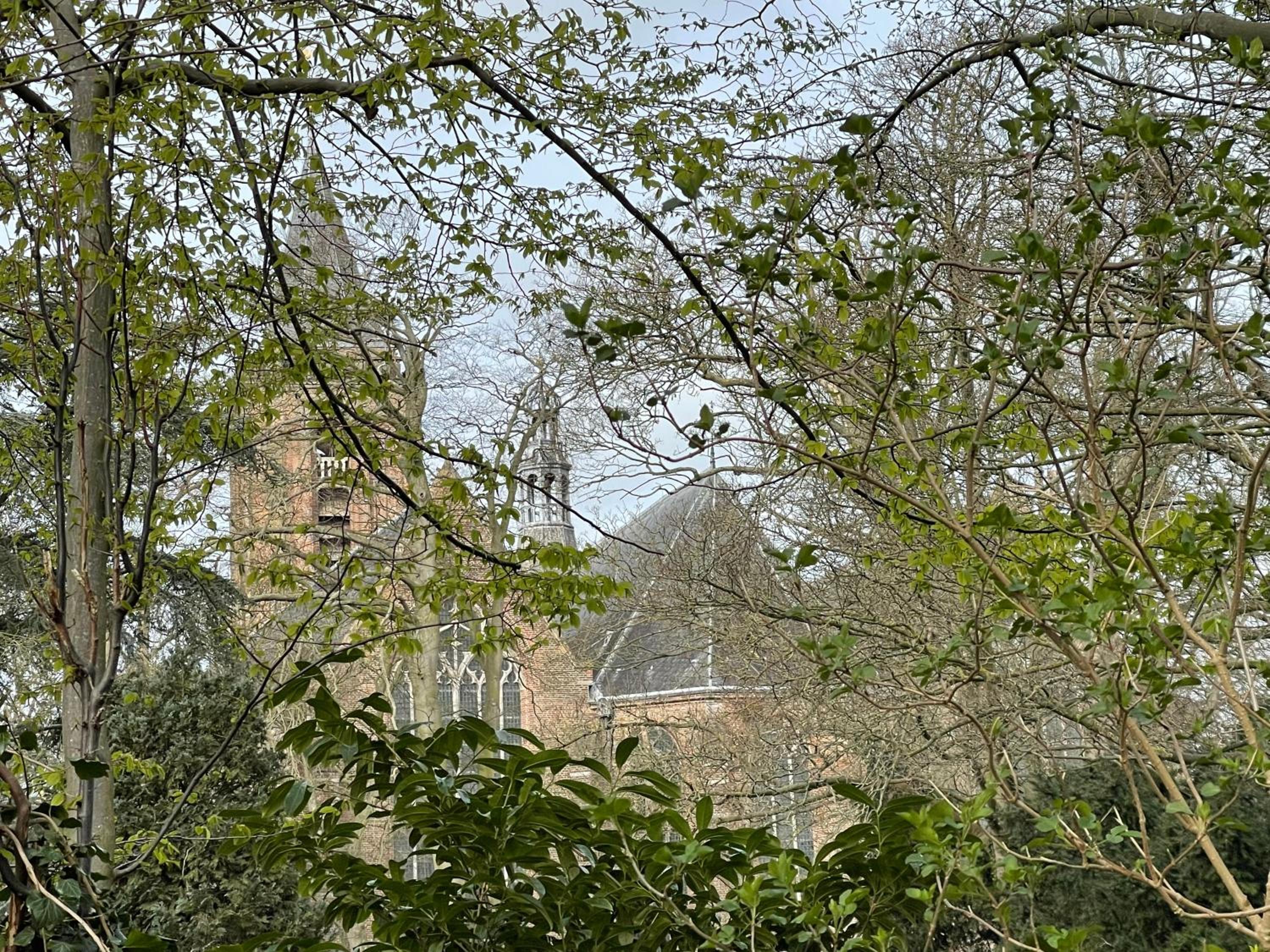 Photo 43