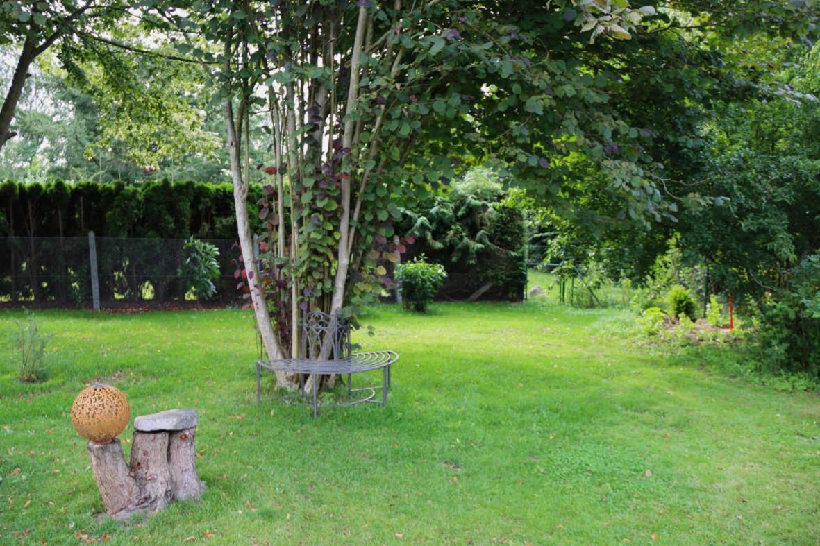 Ferienhaus an der Wiese view 5
