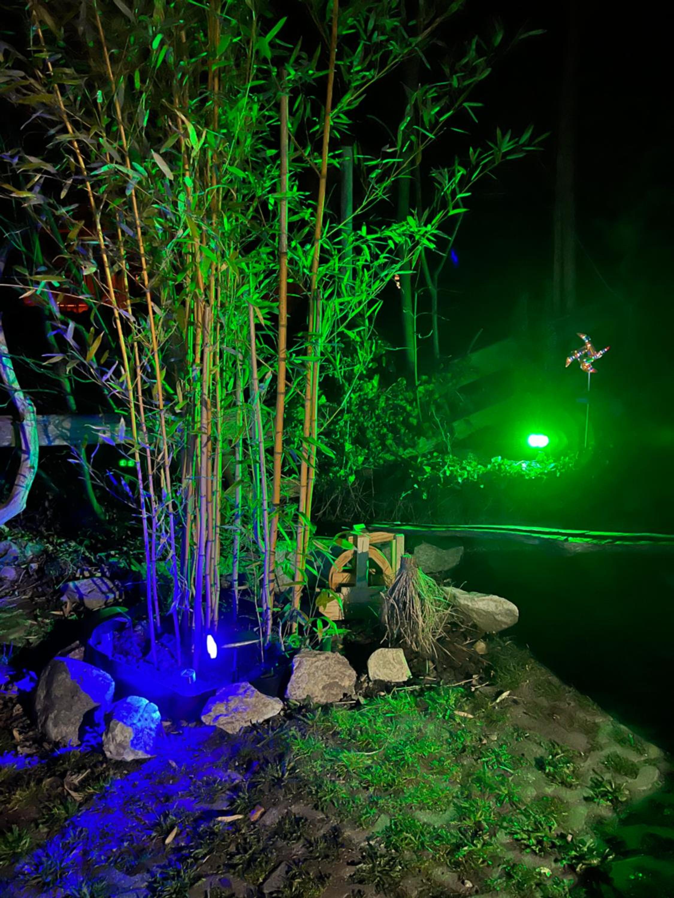 Pia's Nature Retreat