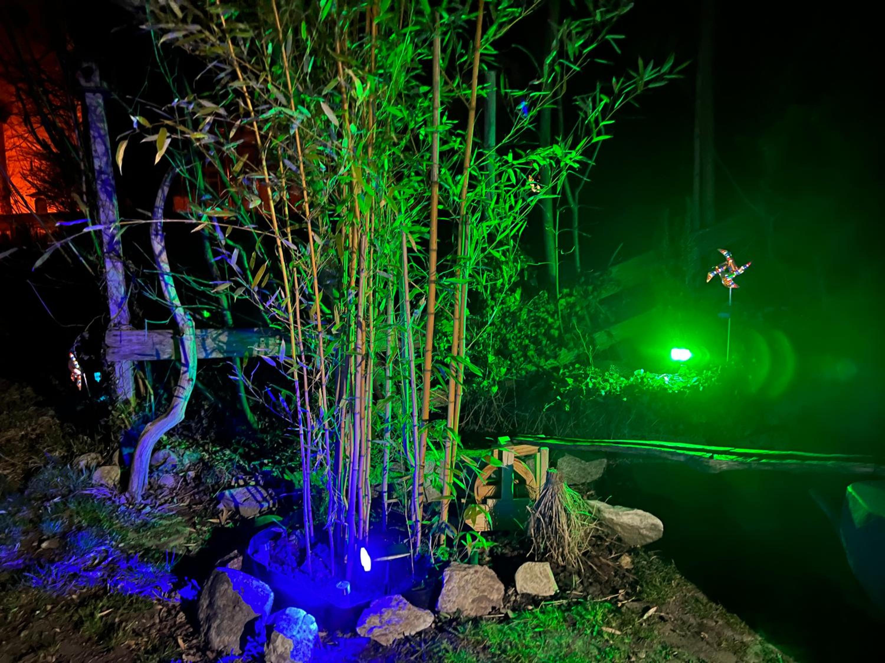 Pia's Nature Retreat