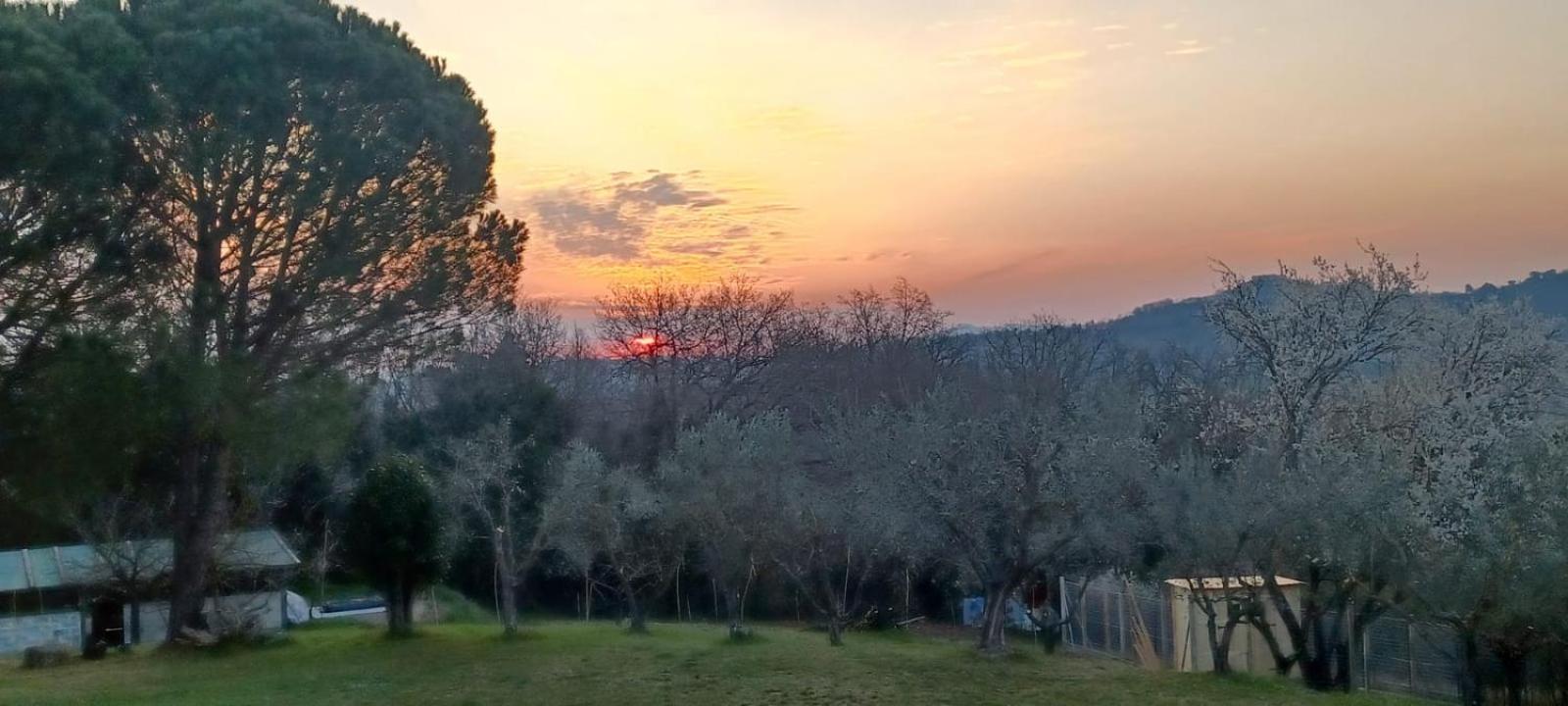 Il casale di Sandra