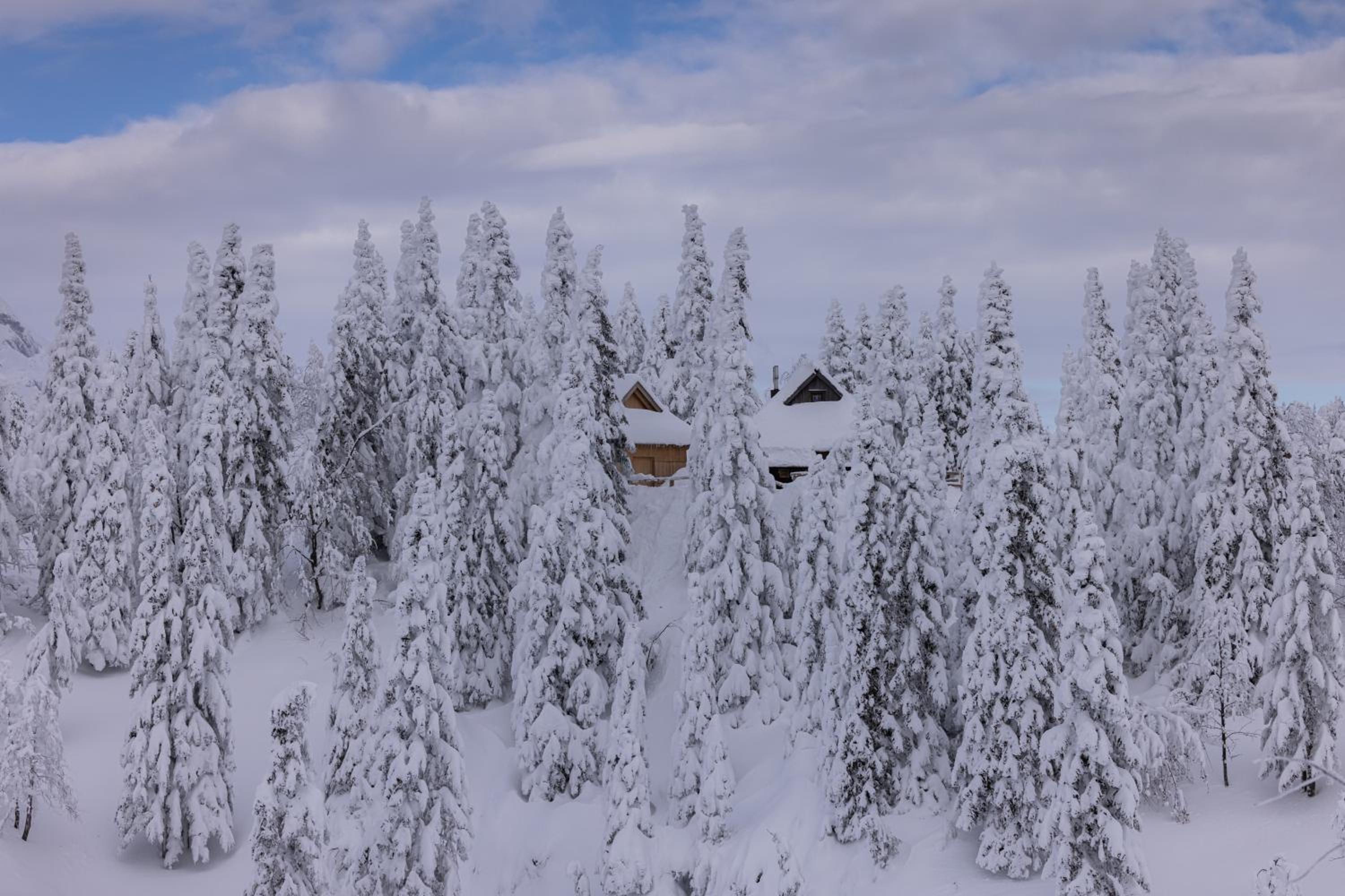 Koča Bistra - Velika planina