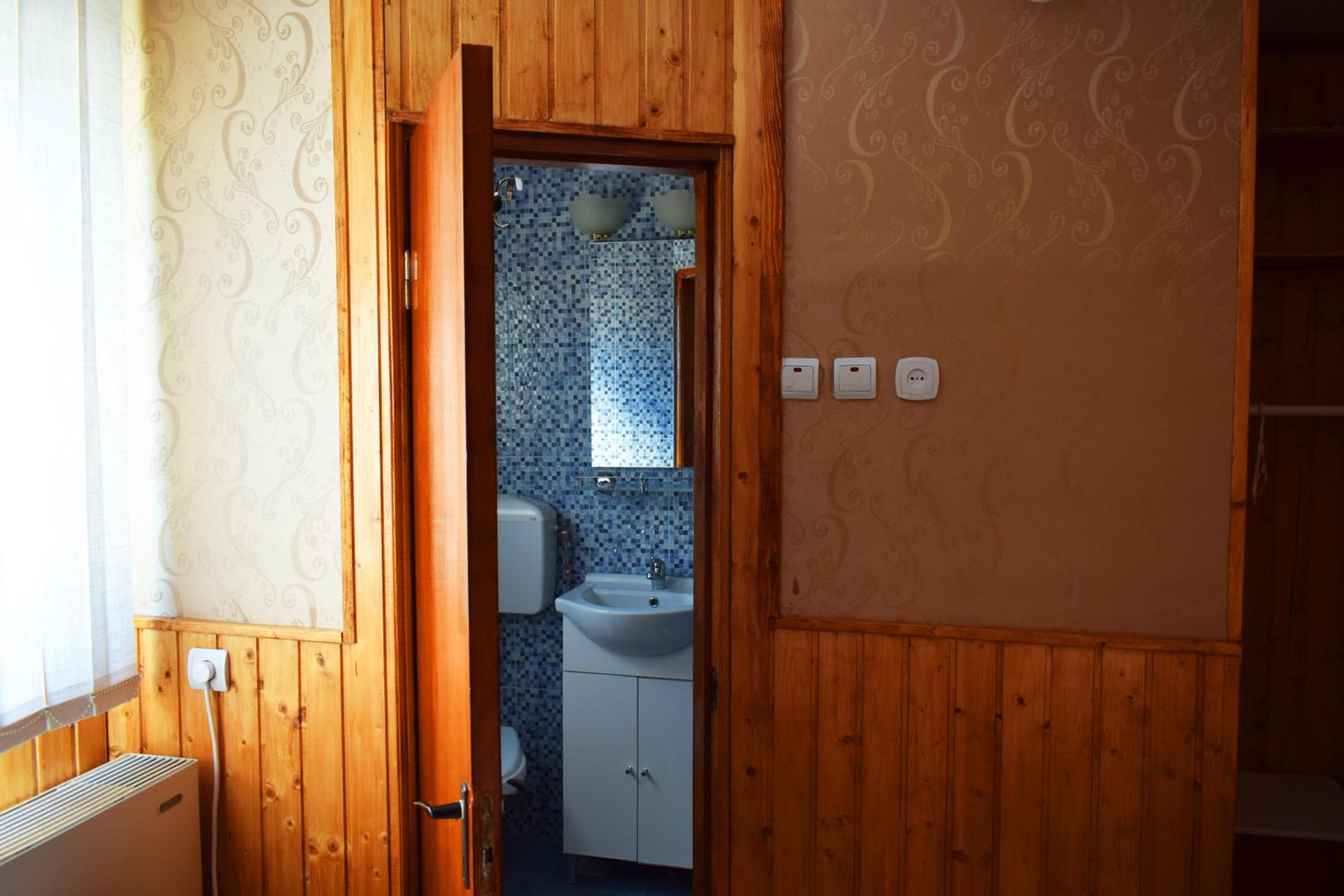 Hotel Plutitor Carpatia St. Constantin view 2