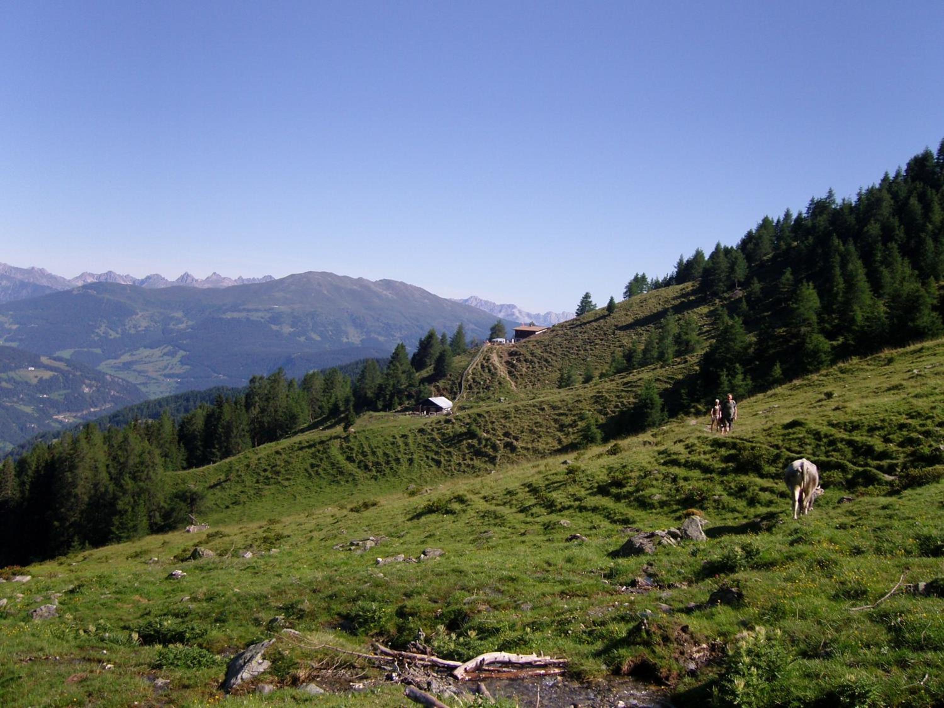 Photo 49