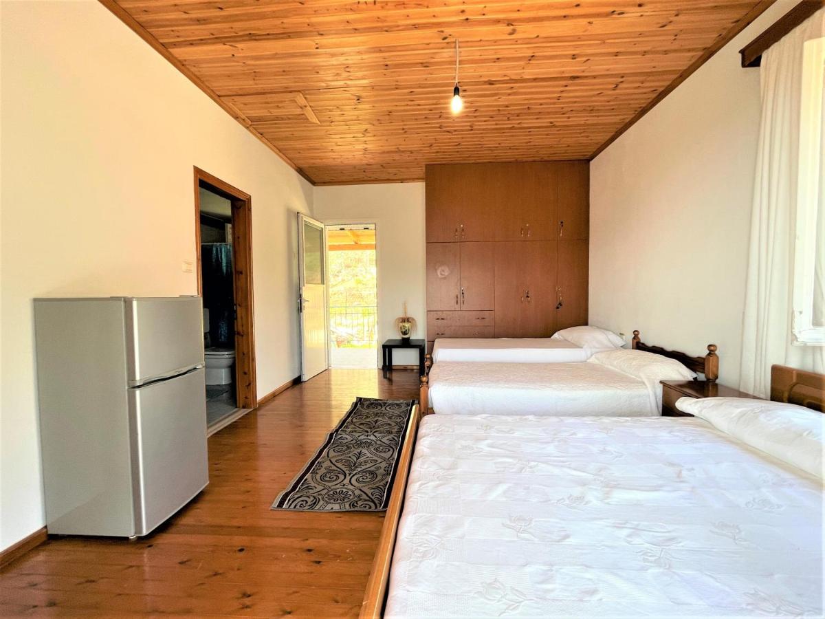 Alexis House