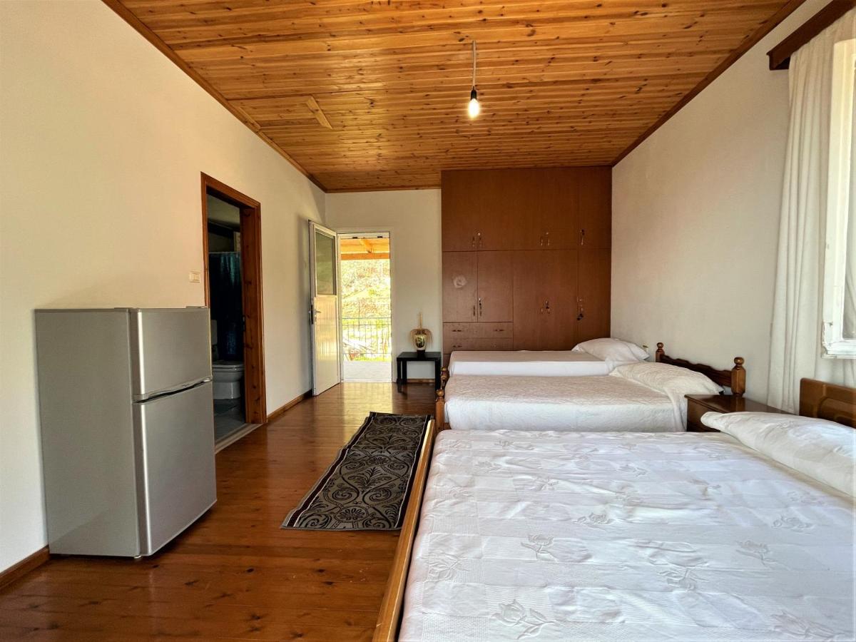 Alexis House
