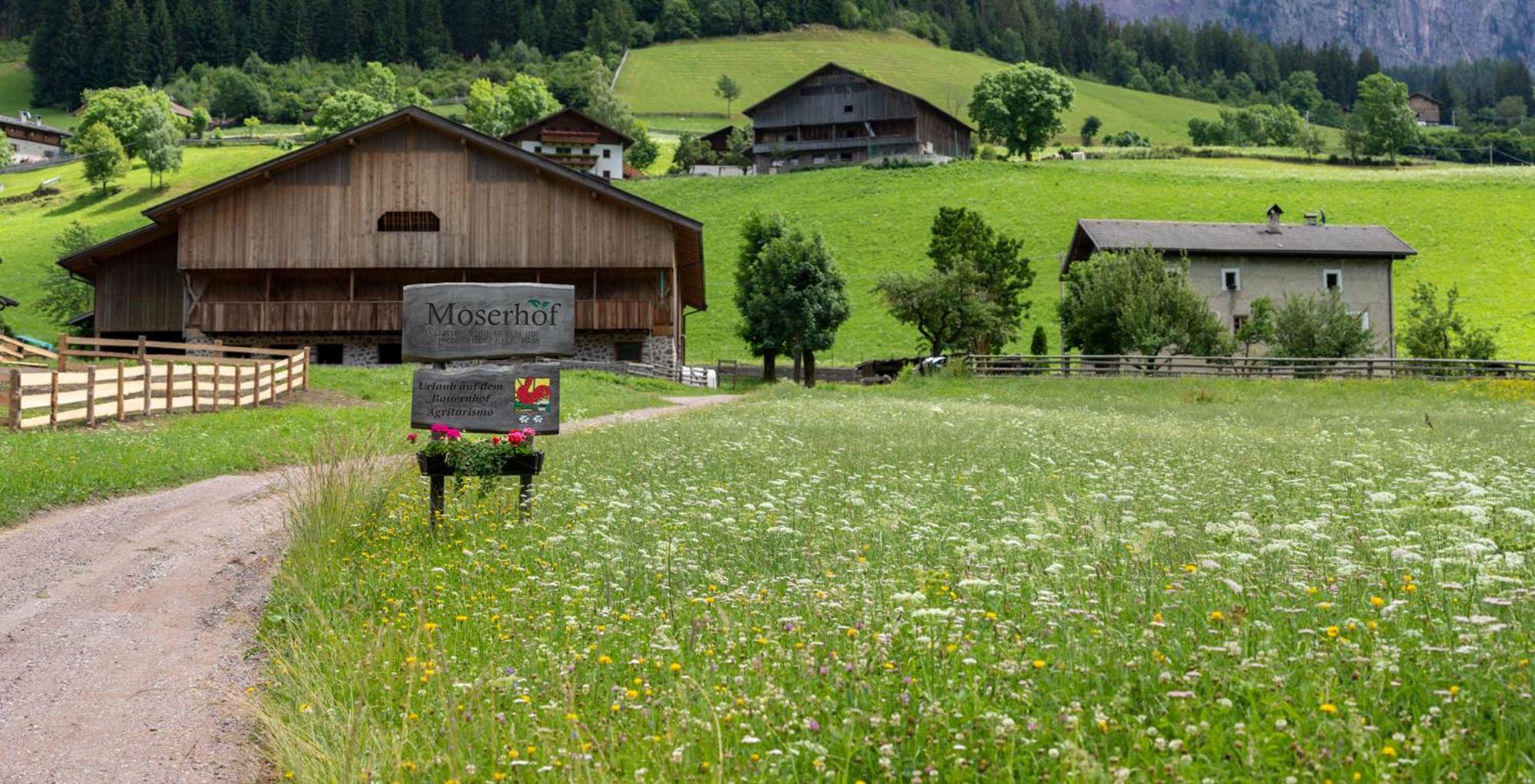 Moserhof Ferienwohnung Schartblick
