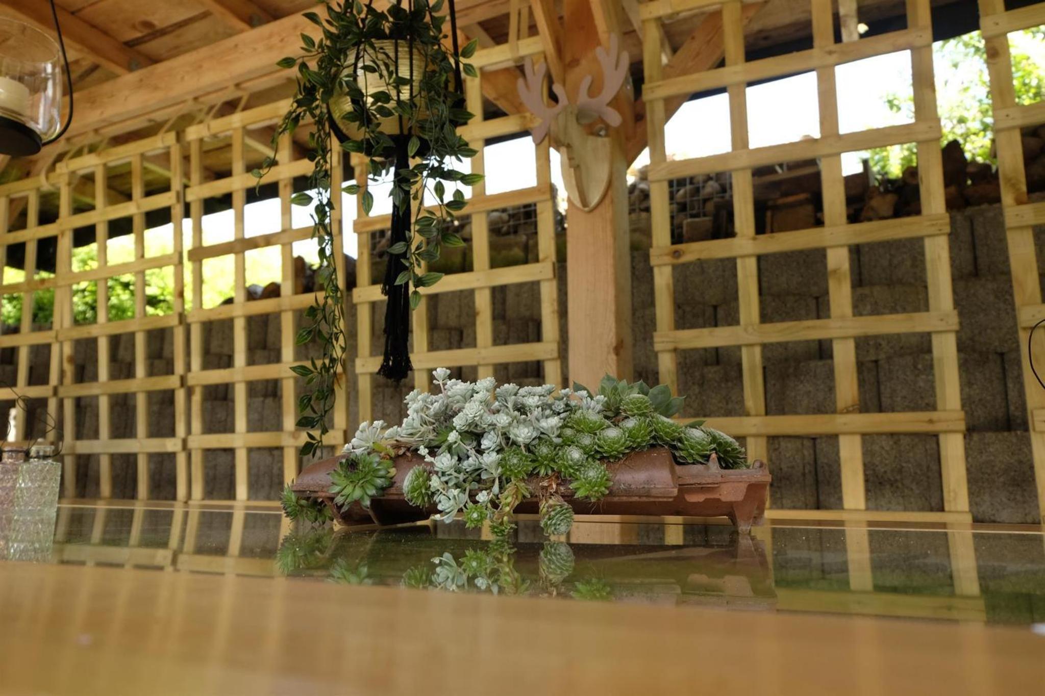 SchwarzWild - Ferienwohnung und Ferienzimmer