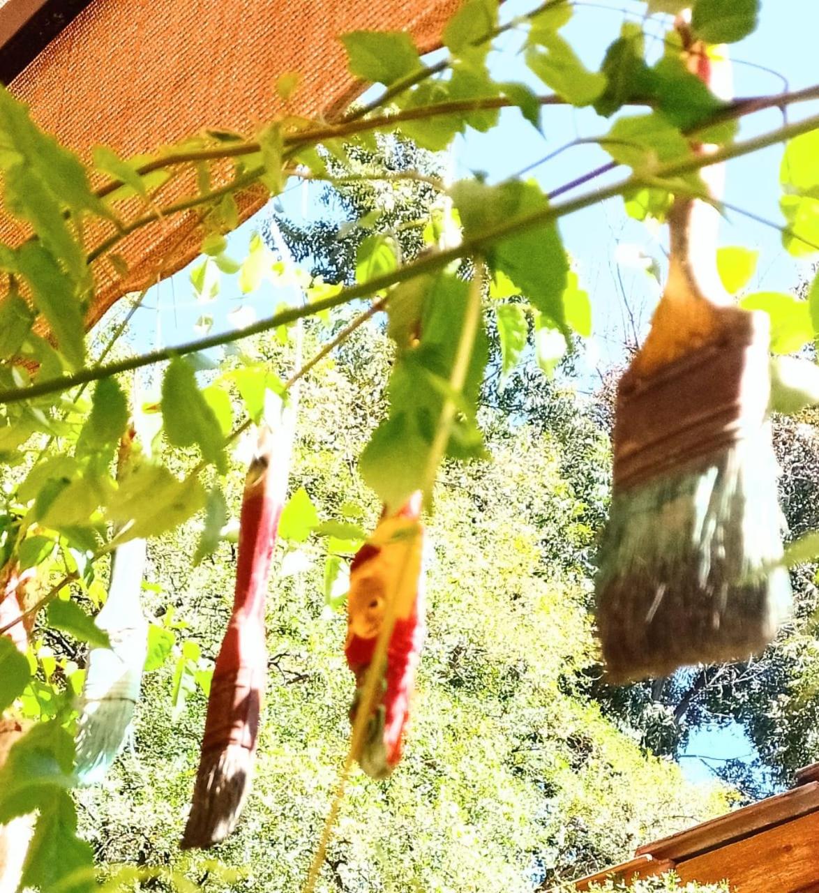 Pajaros Volando Hostel Merlo San Luis