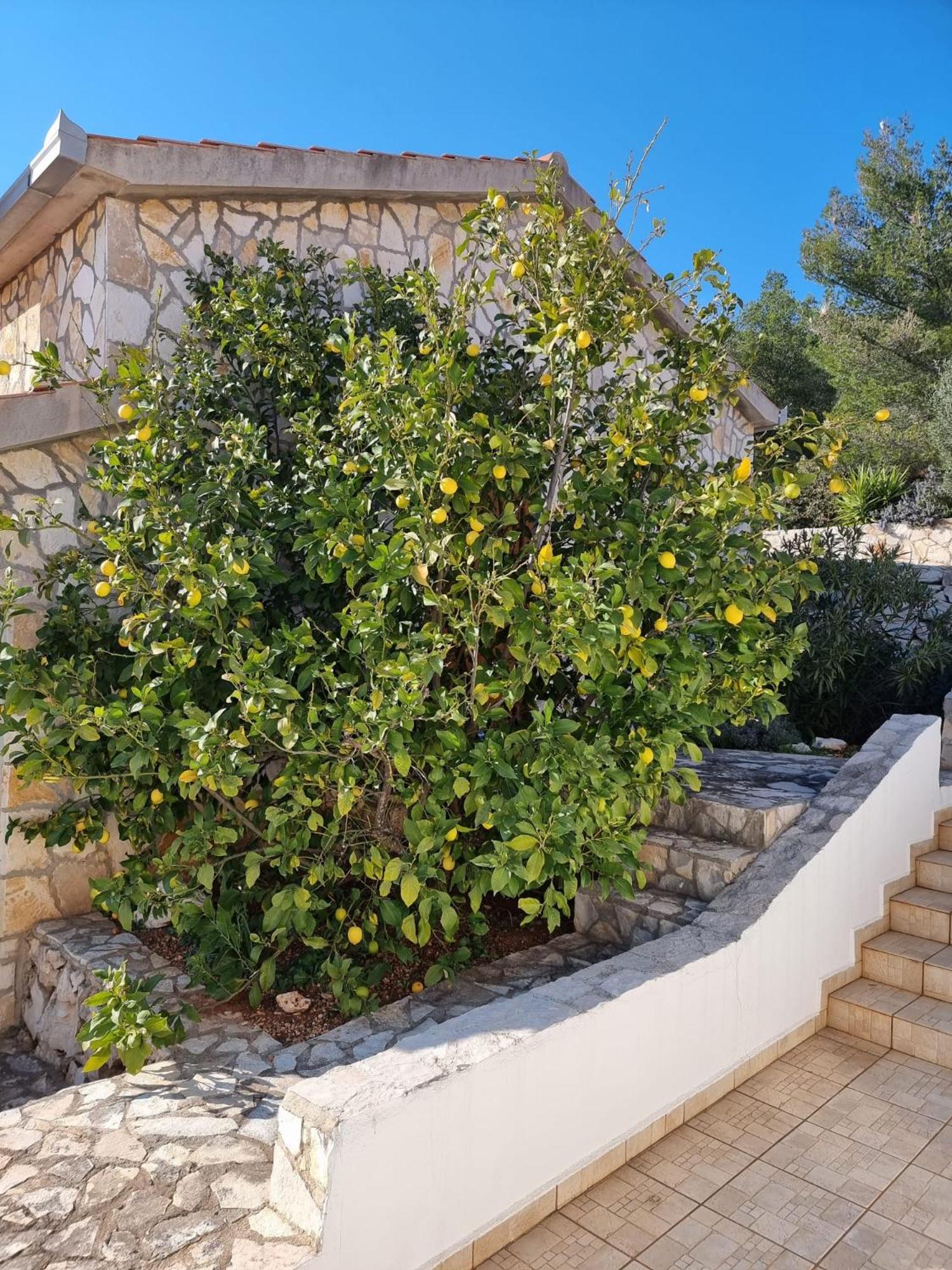 Corinna Zavala Resort view 5