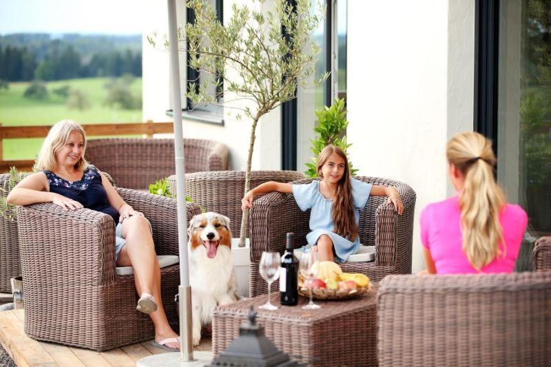 Linda‘s Ferien-Pferdehof view 4