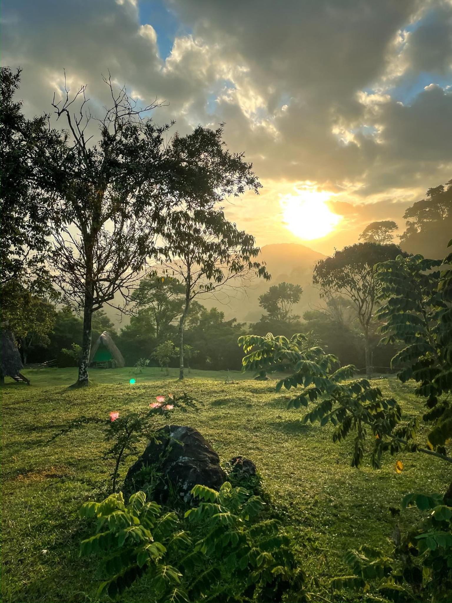 La Perla Negra Eco-Lodge & Hostel