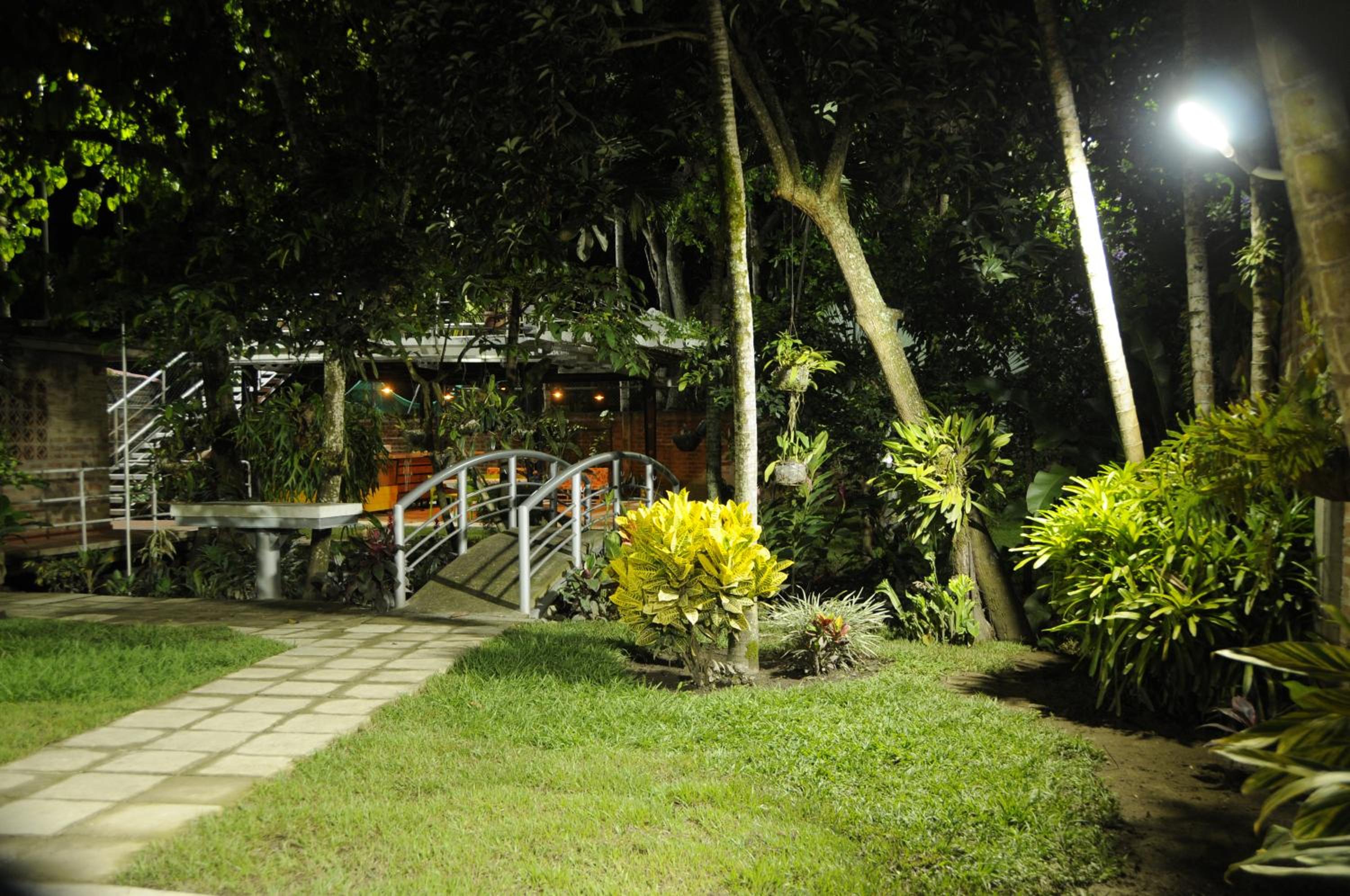 Photo 11