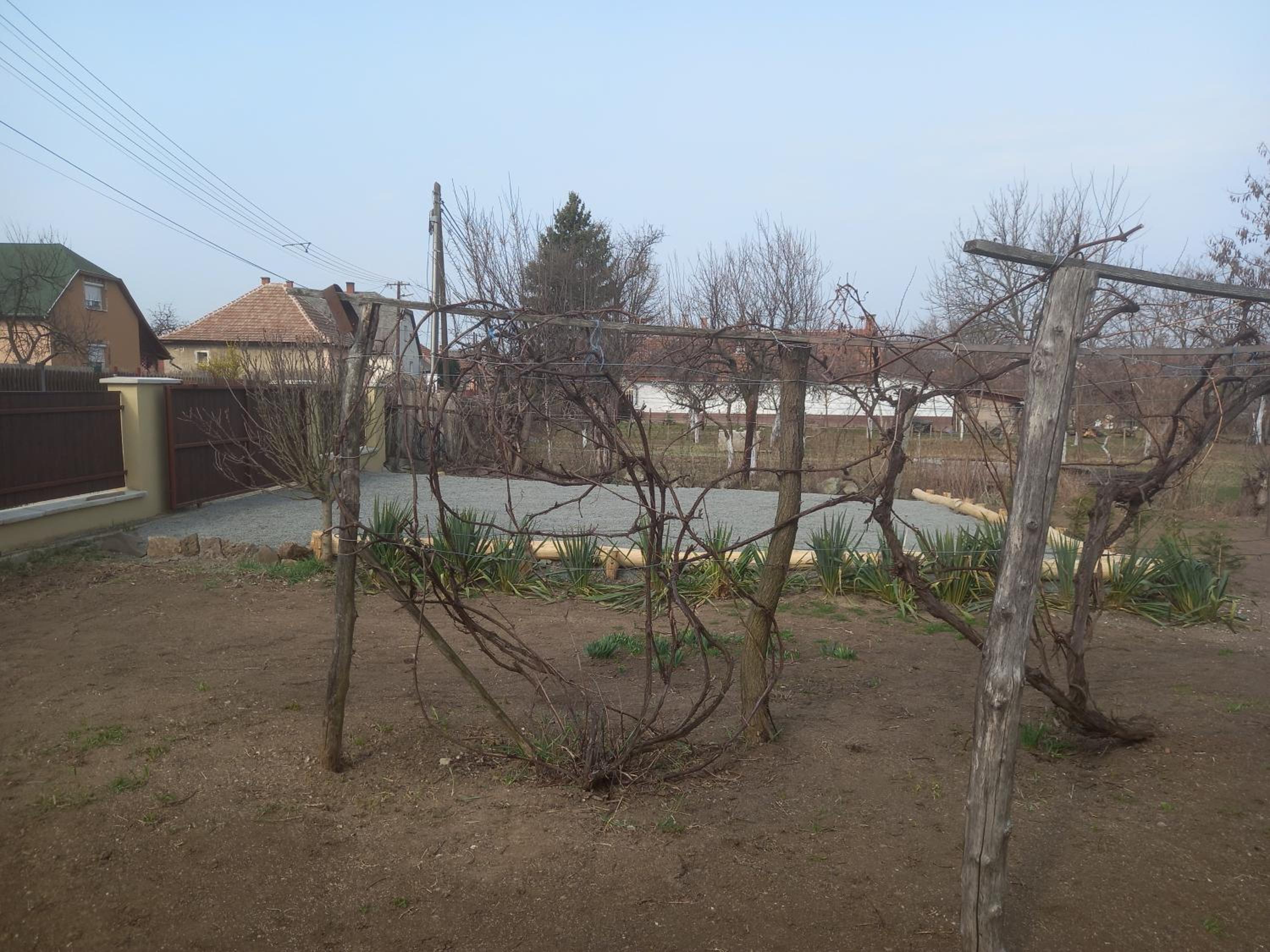 GALAMBLAK Vendégház view 5